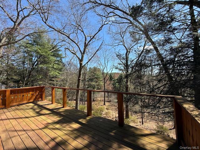 Single Family Hollow  Sullivan County, NY 12737, MLS-983599-2