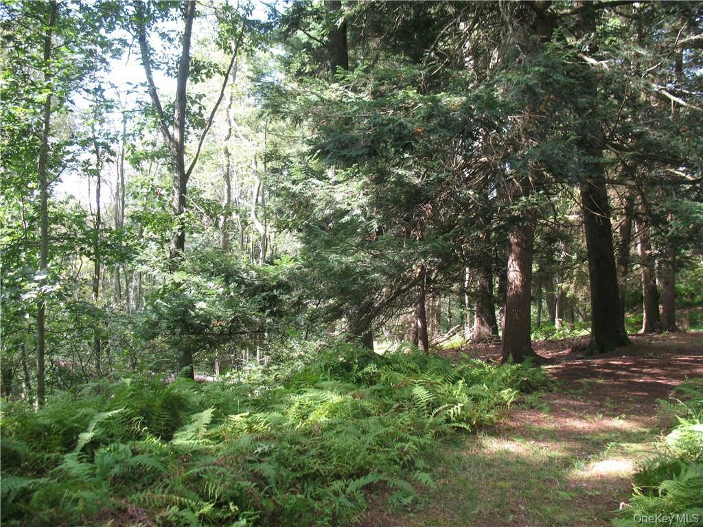 Single Family Hollow  Sullivan County, NY 12737, MLS-983599-6