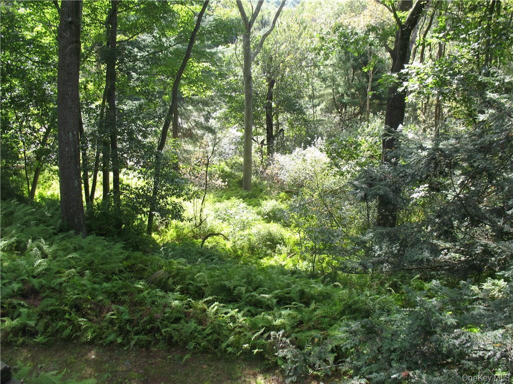 Single Family Hollow  Sullivan County, NY 12737, MLS-983599-7