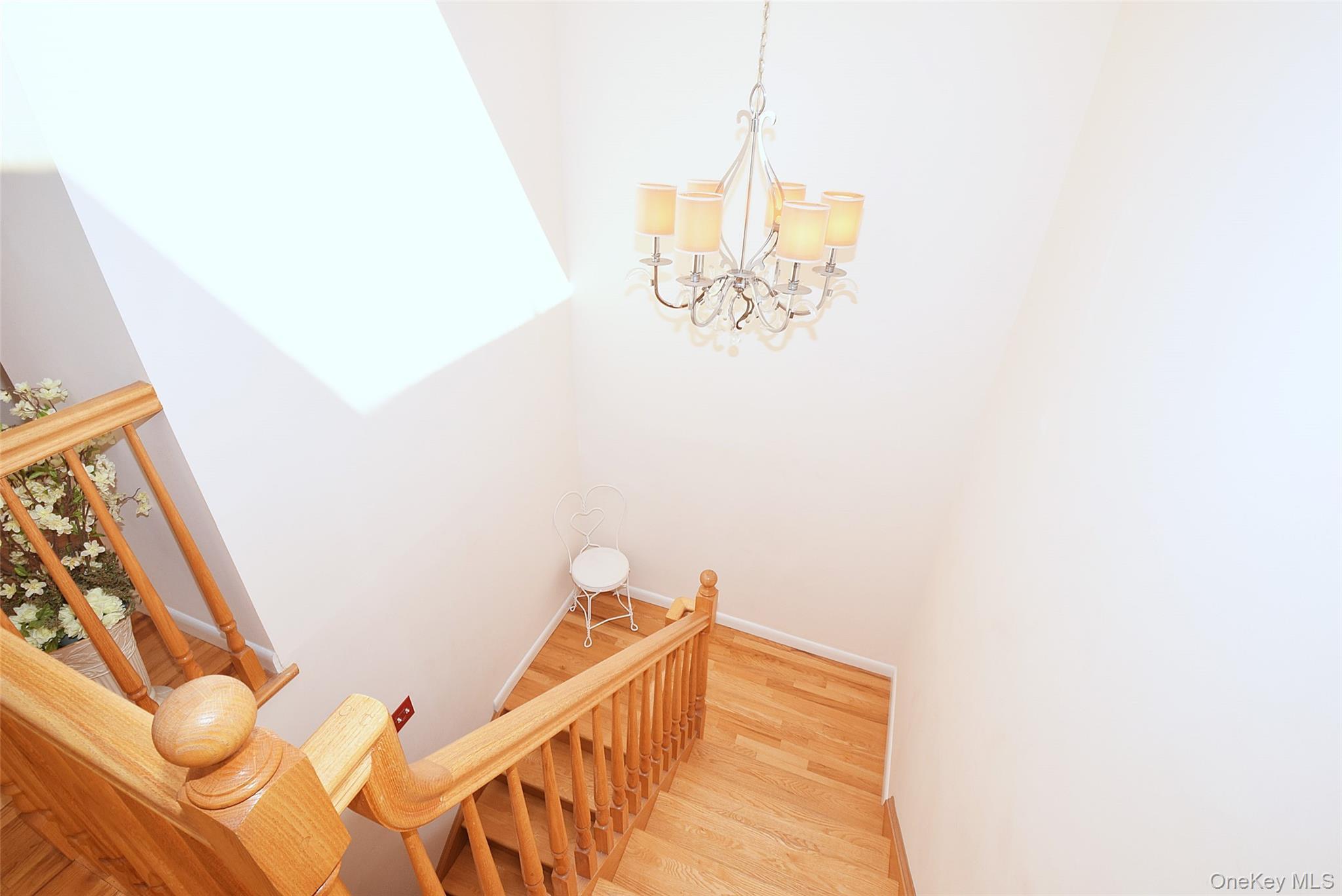 Condo Jordan  Queens, NY 11360, MLS-983601-22