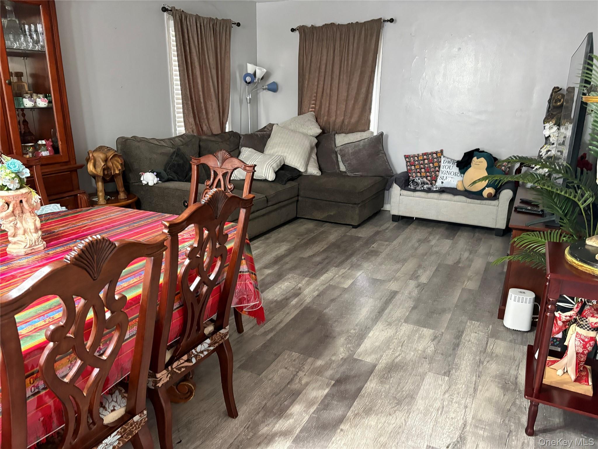 Single Family E State Street  Nassau County, NY 11561, MLS-983609-3
