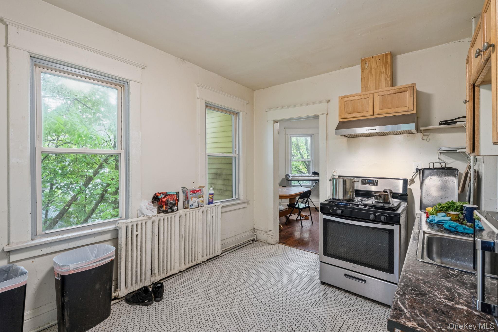 Single Family Ten Broeck Avenue  Ulster County, NY 12401, MLS-983628-13