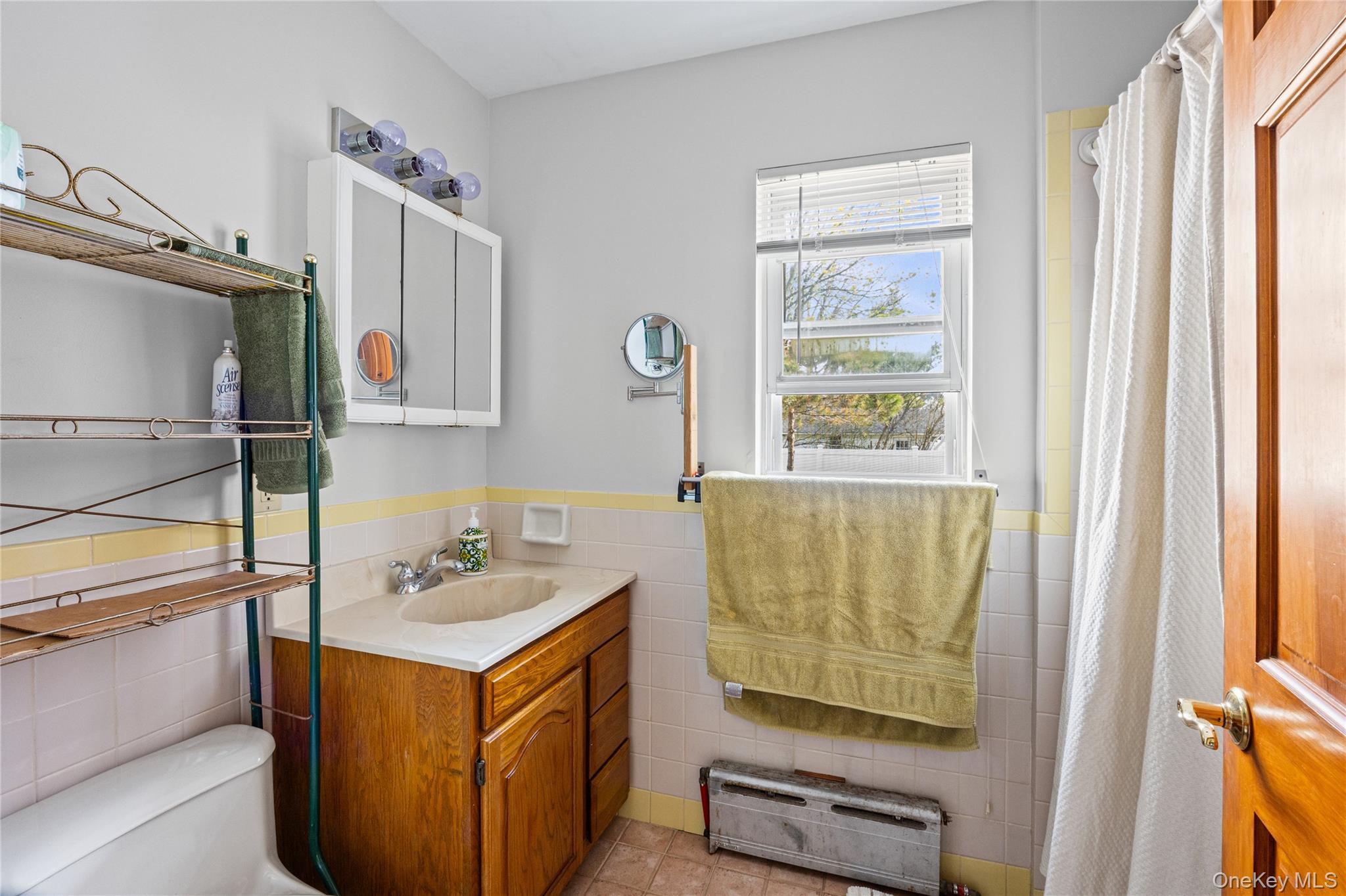 Single Family Davison  Nassau County, NY 11563, MLS-983637-19