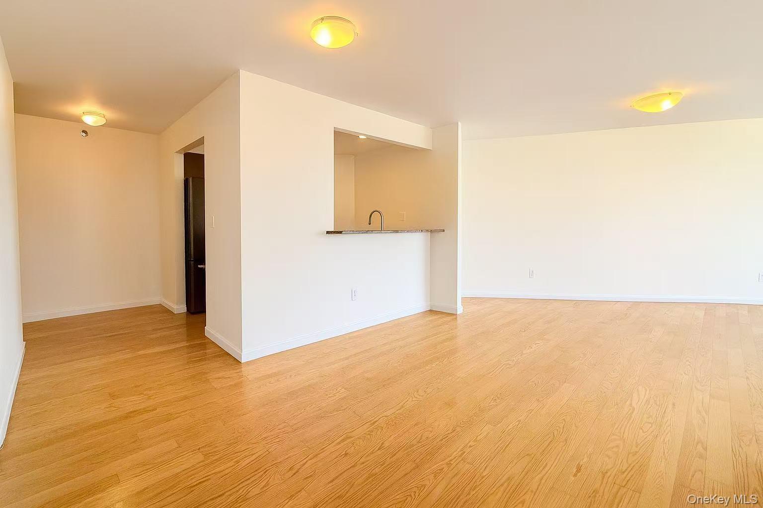 Condo Woodhaven  Queens, NY 11373, MLS-983684-2