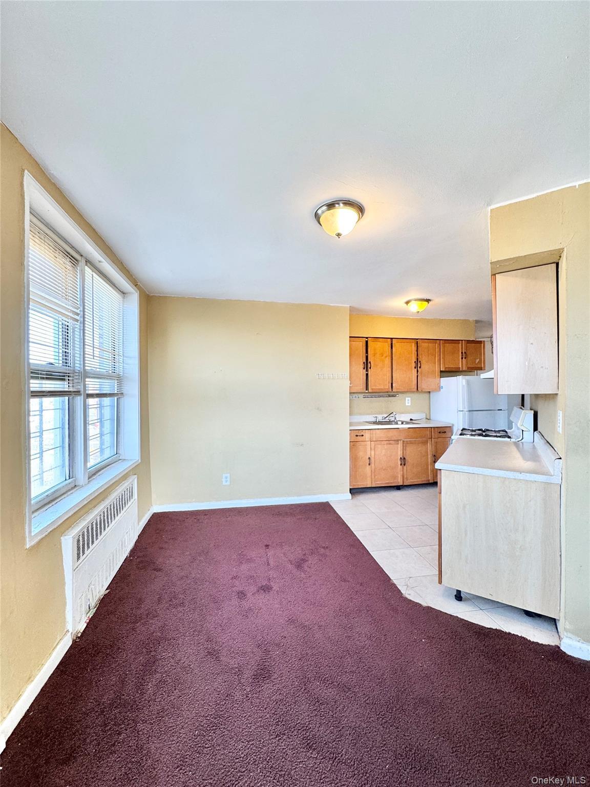 Coop 60th  Queens, NY 11373, MLS-983694-5