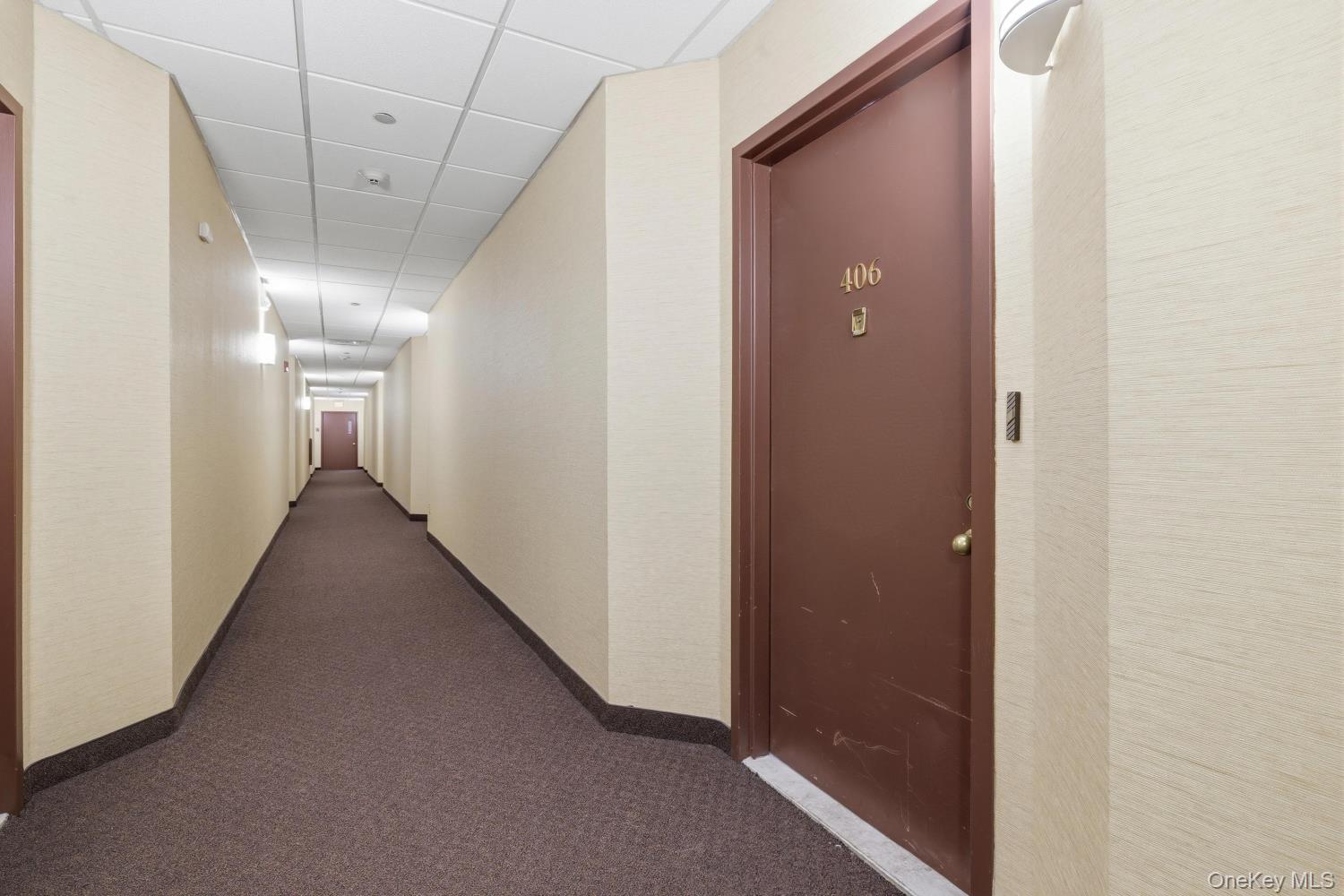 Condo Park  Nassau County, NY 11561, MLS-983712-11