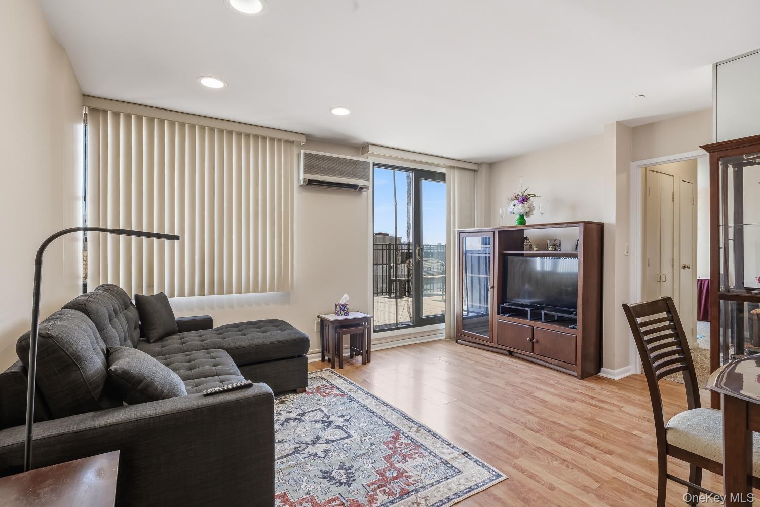 Condo Park  Nassau County, NY 11561, MLS-983712-13