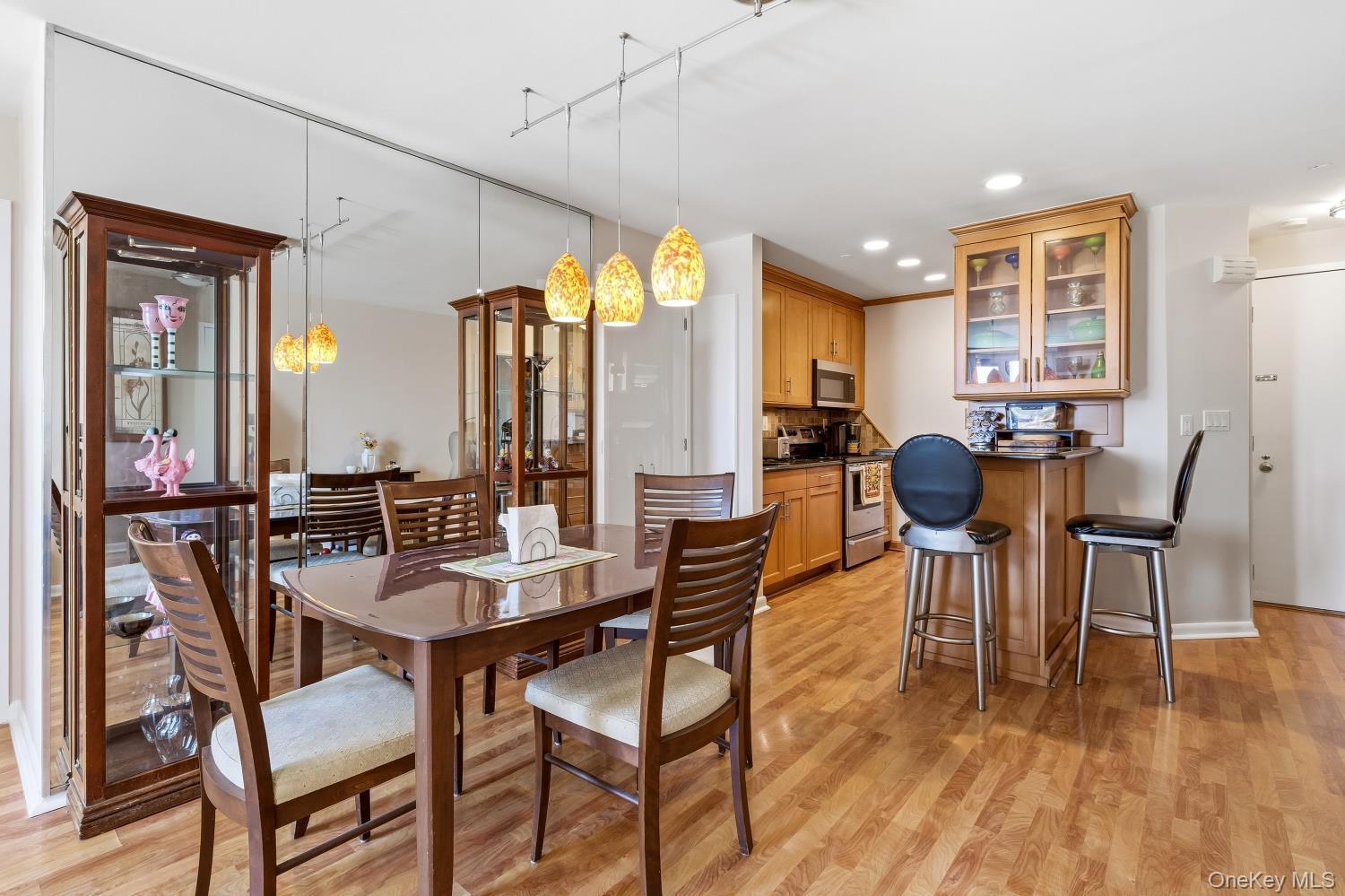 Condo Park  Nassau County, NY 11561, MLS-983712-14