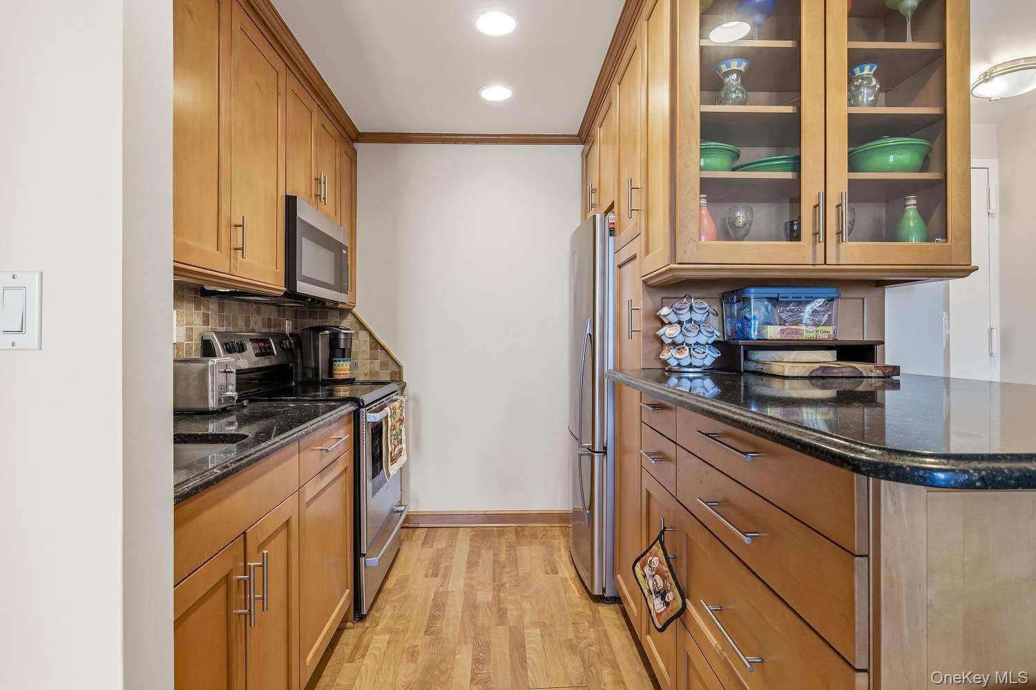 Condo Park  Nassau County, NY 11561, MLS-983712-16