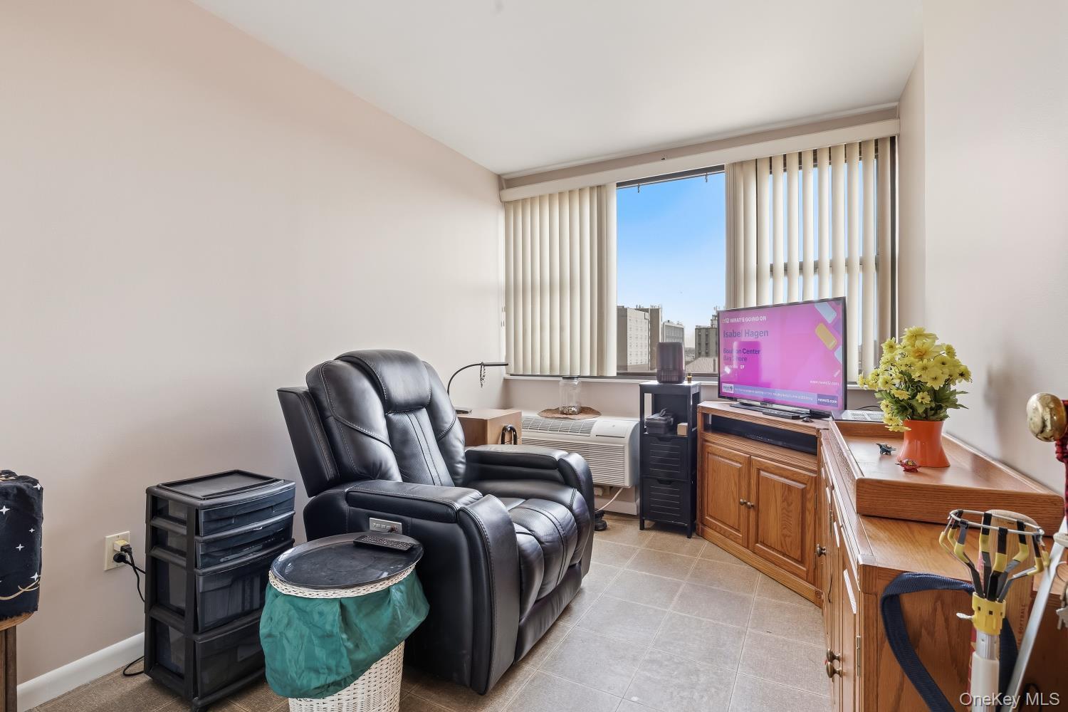 Condo Park  Nassau County, NY 11561, MLS-983712-18