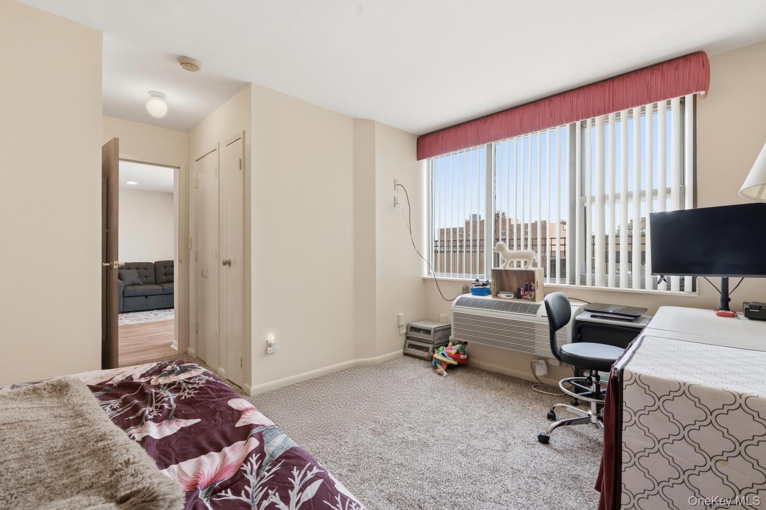 Condo Park  Nassau County, NY 11561, MLS-983712-20