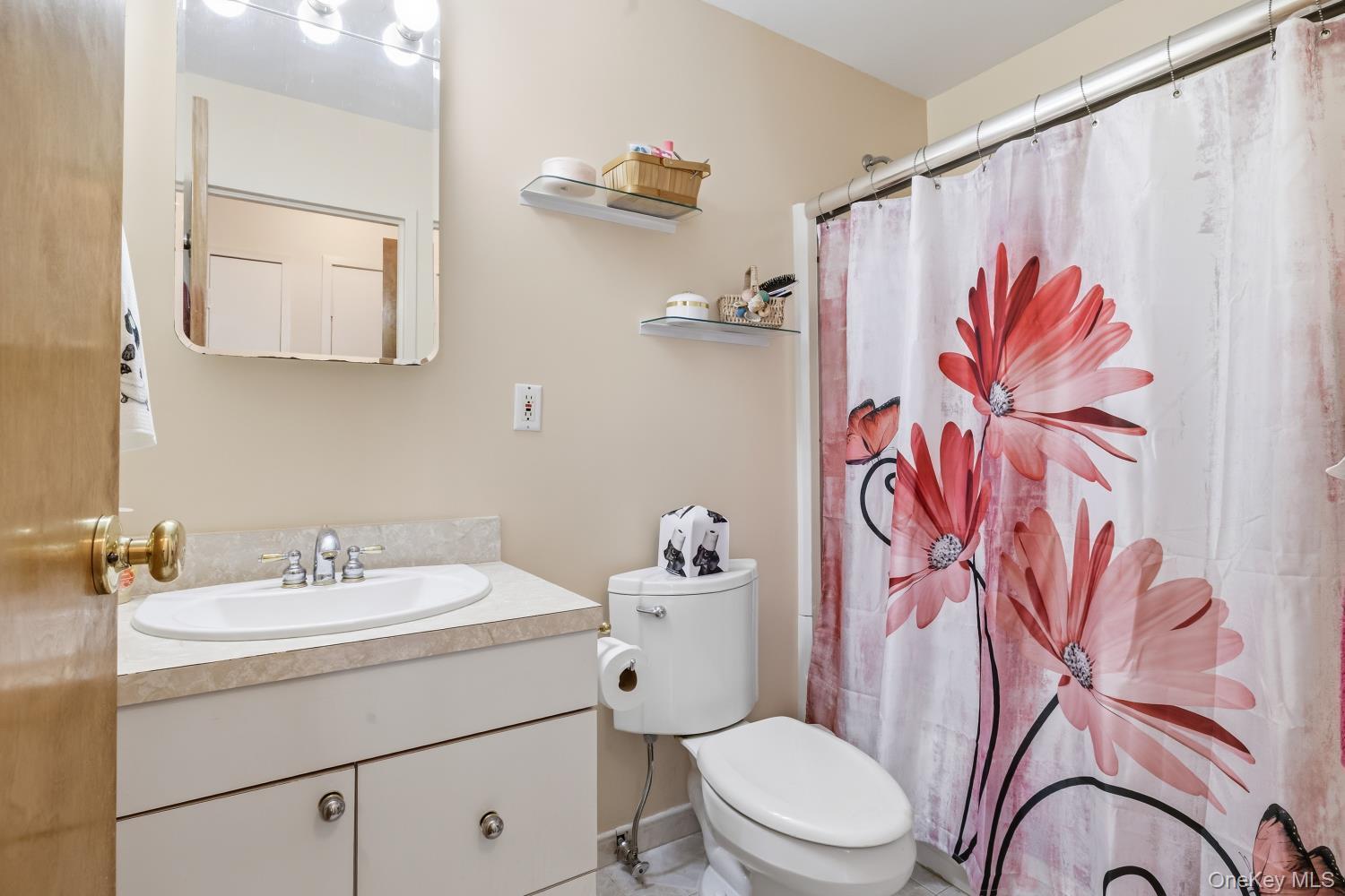 Condo Park  Nassau County, NY 11561, MLS-983712-21