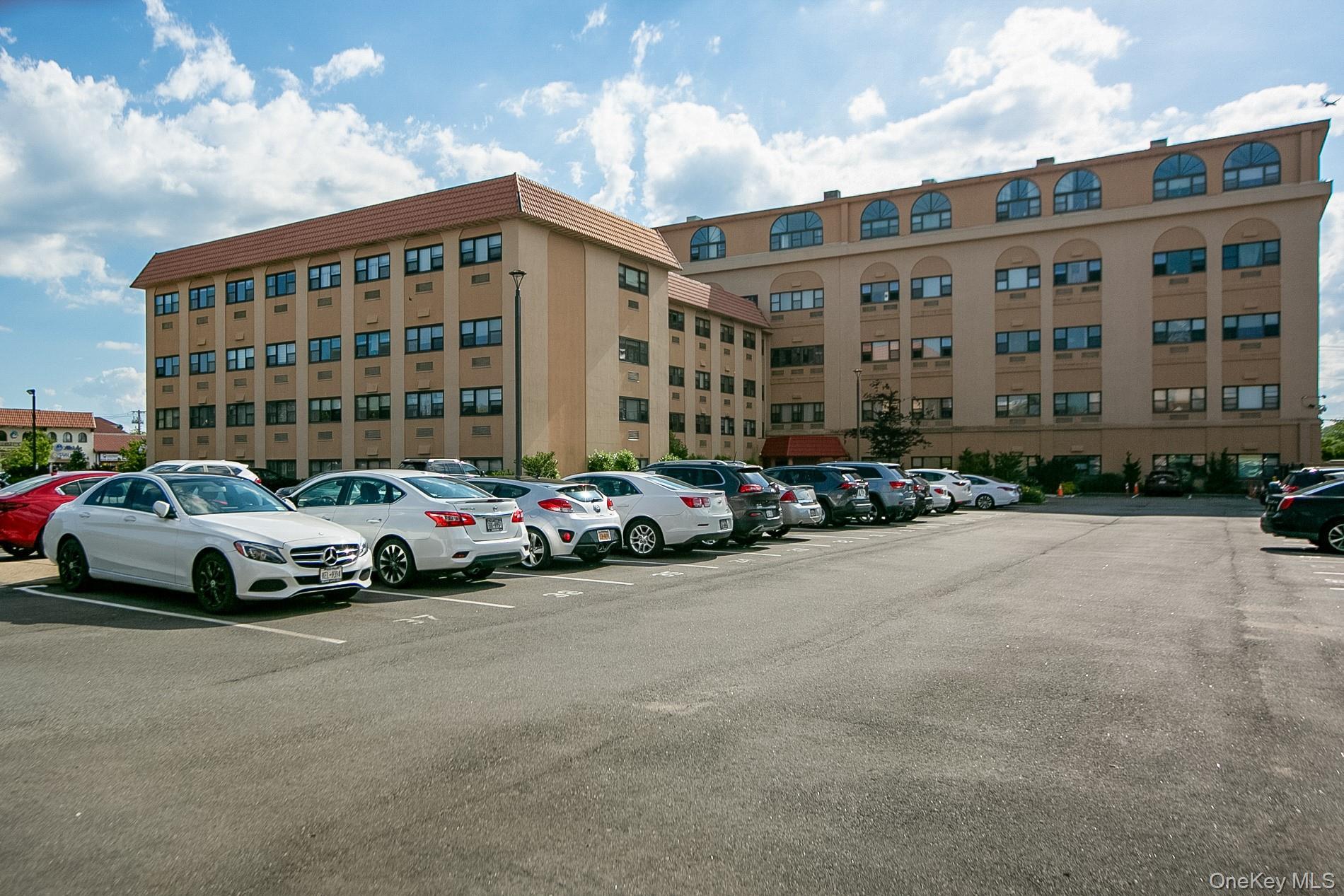 Condo Park  Nassau County, NY 11561, MLS-983712-3