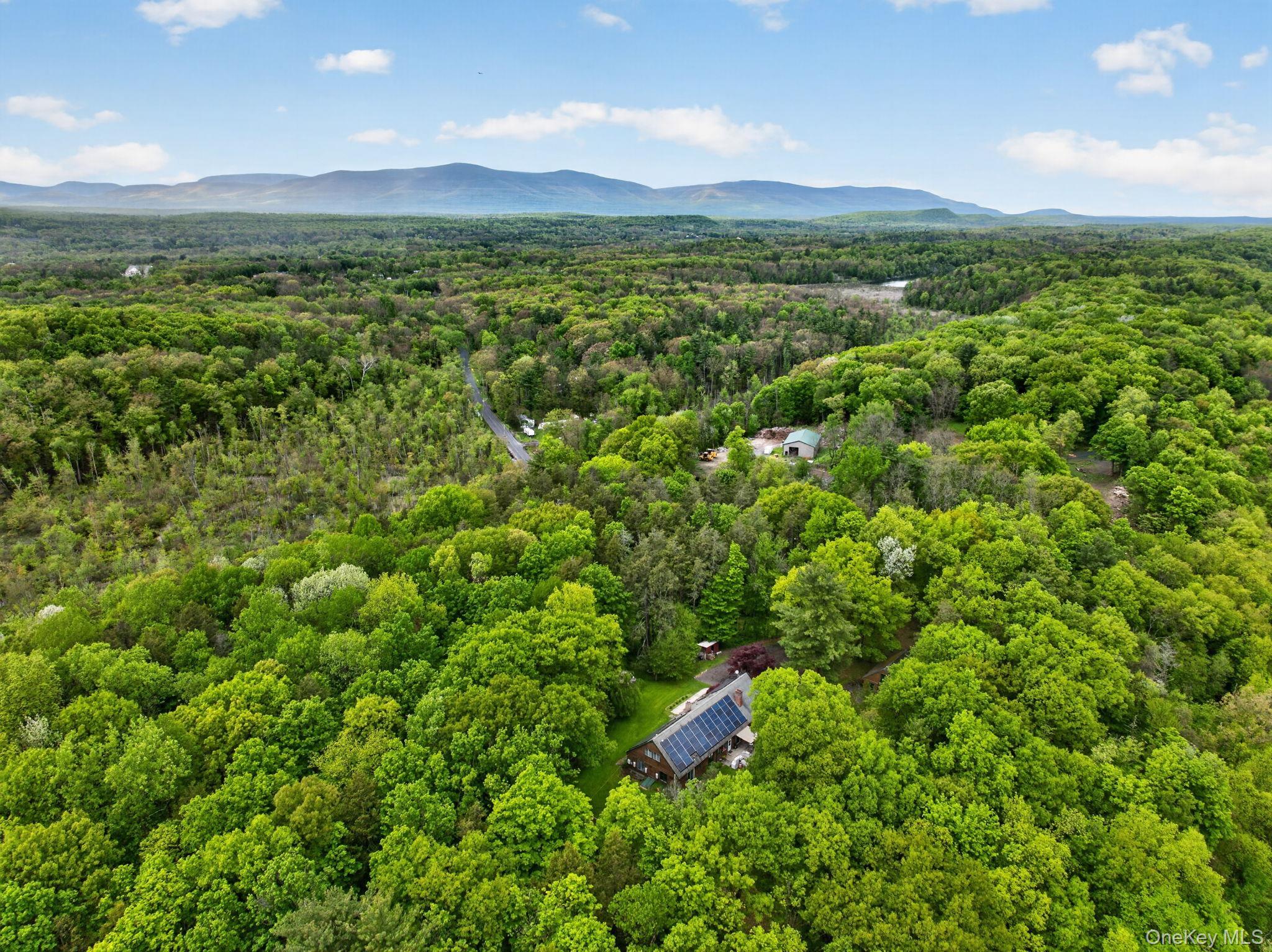 Single Family Tuytenbridge Road  Ulster County, NY 12449, MLS-983735-3