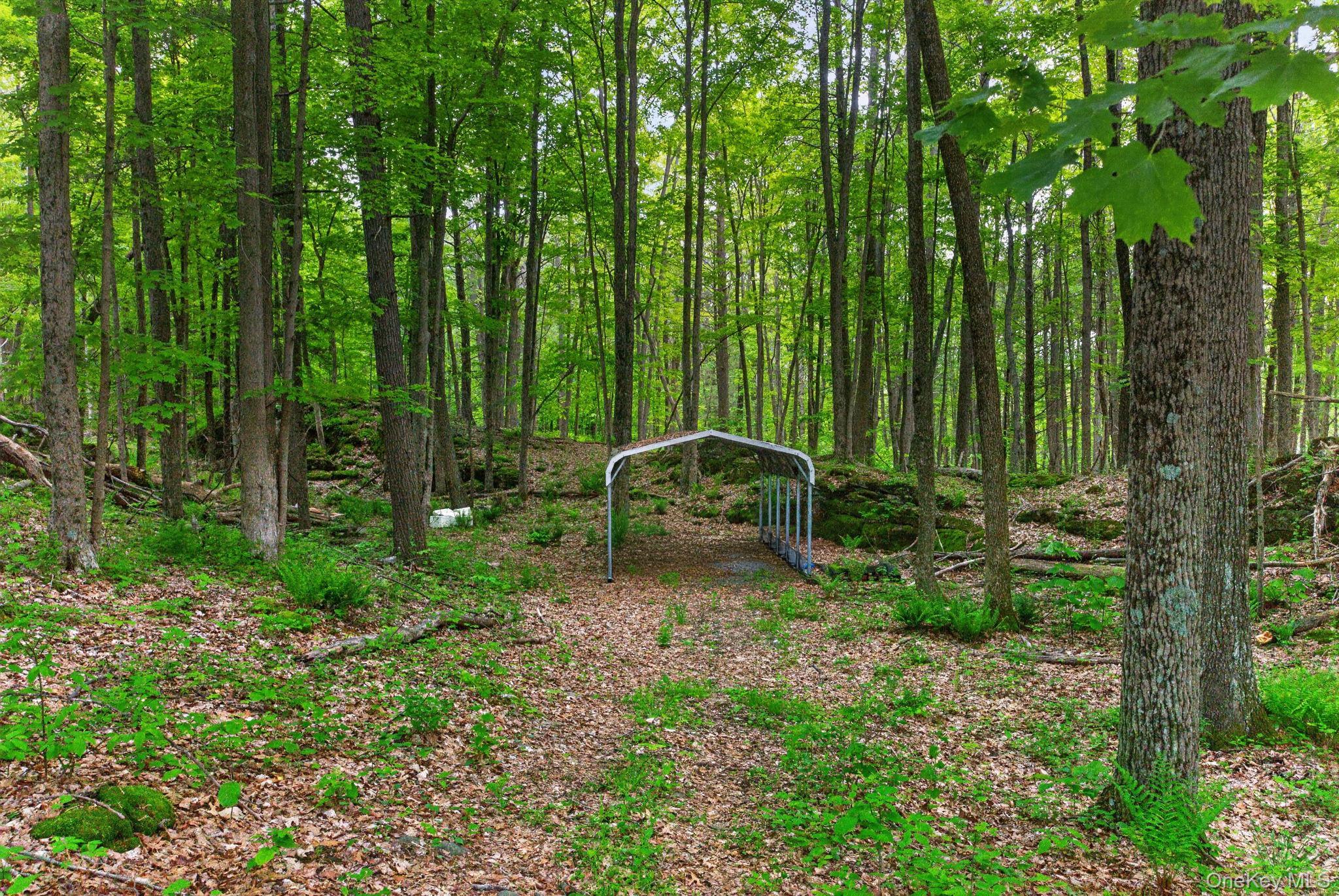 Single Family Tuytenbridge Road  Ulster County, NY 12449, MLS-983735-46