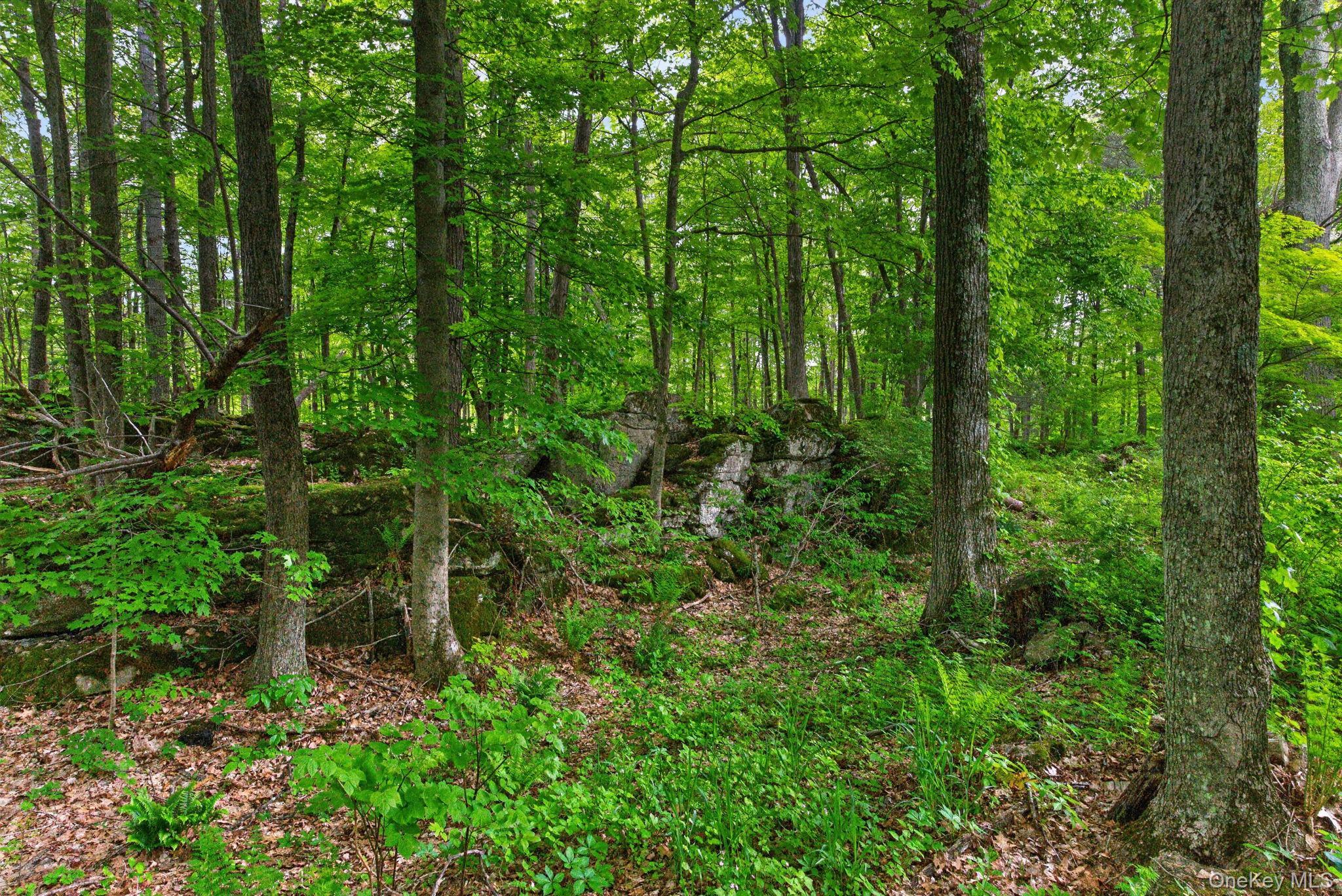 Single Family Tuytenbridge Road  Ulster County, NY 12449, MLS-983735-47