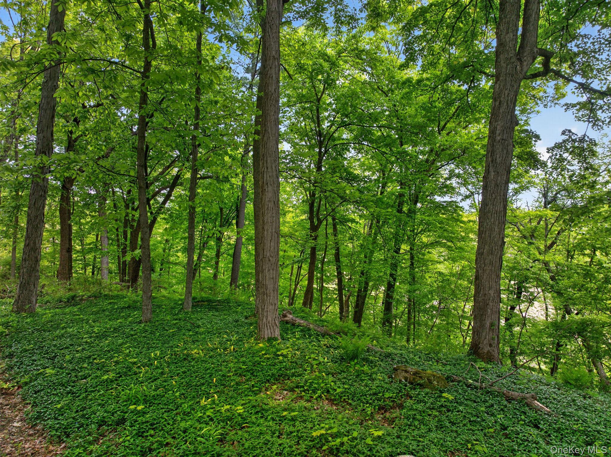 Single Family Tuytenbridge Road  Ulster County, NY 12449, MLS-983735-48