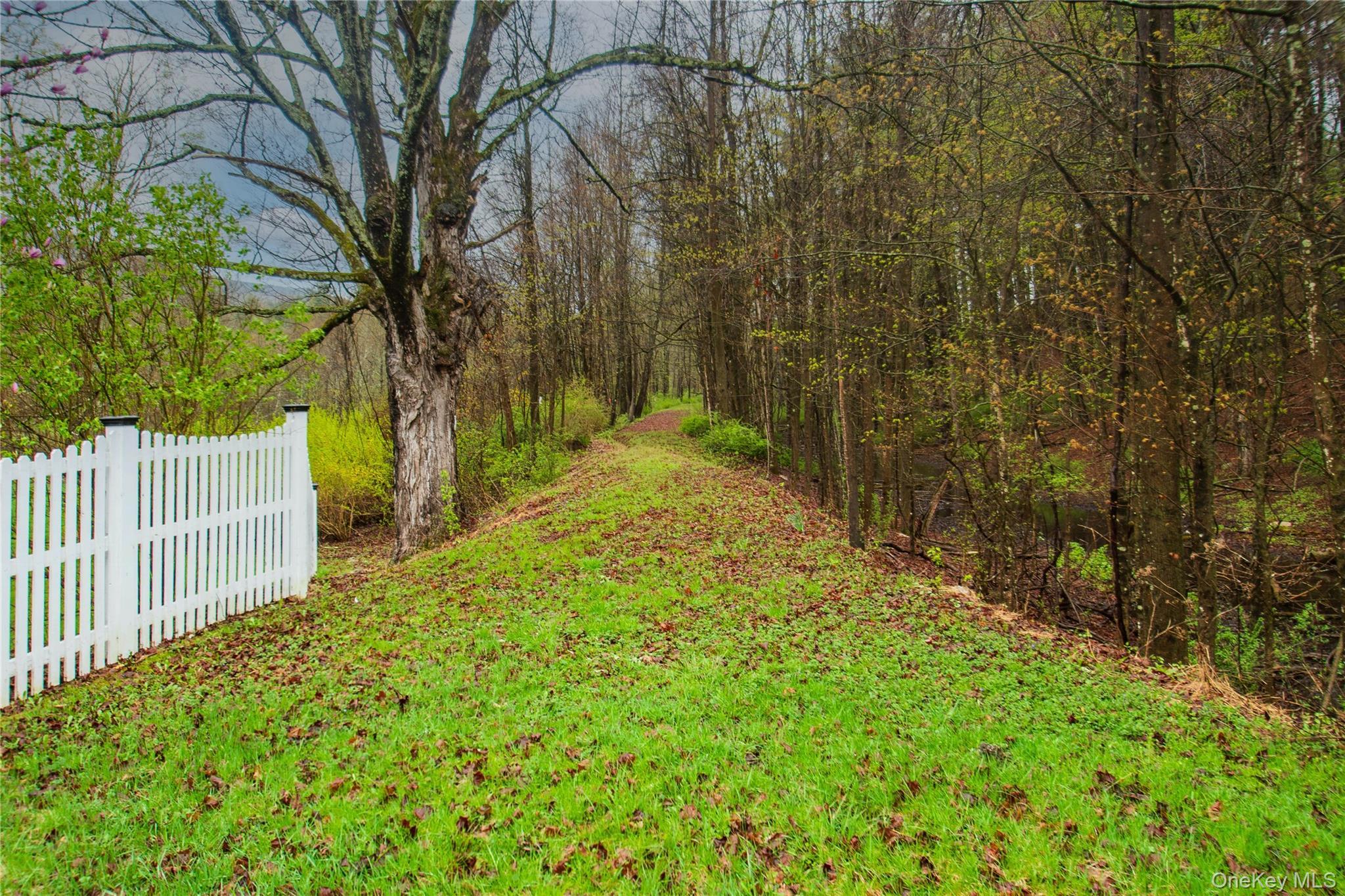 Single Family Thornton Road Sullivan County, NY 12769, MLS-983777-26