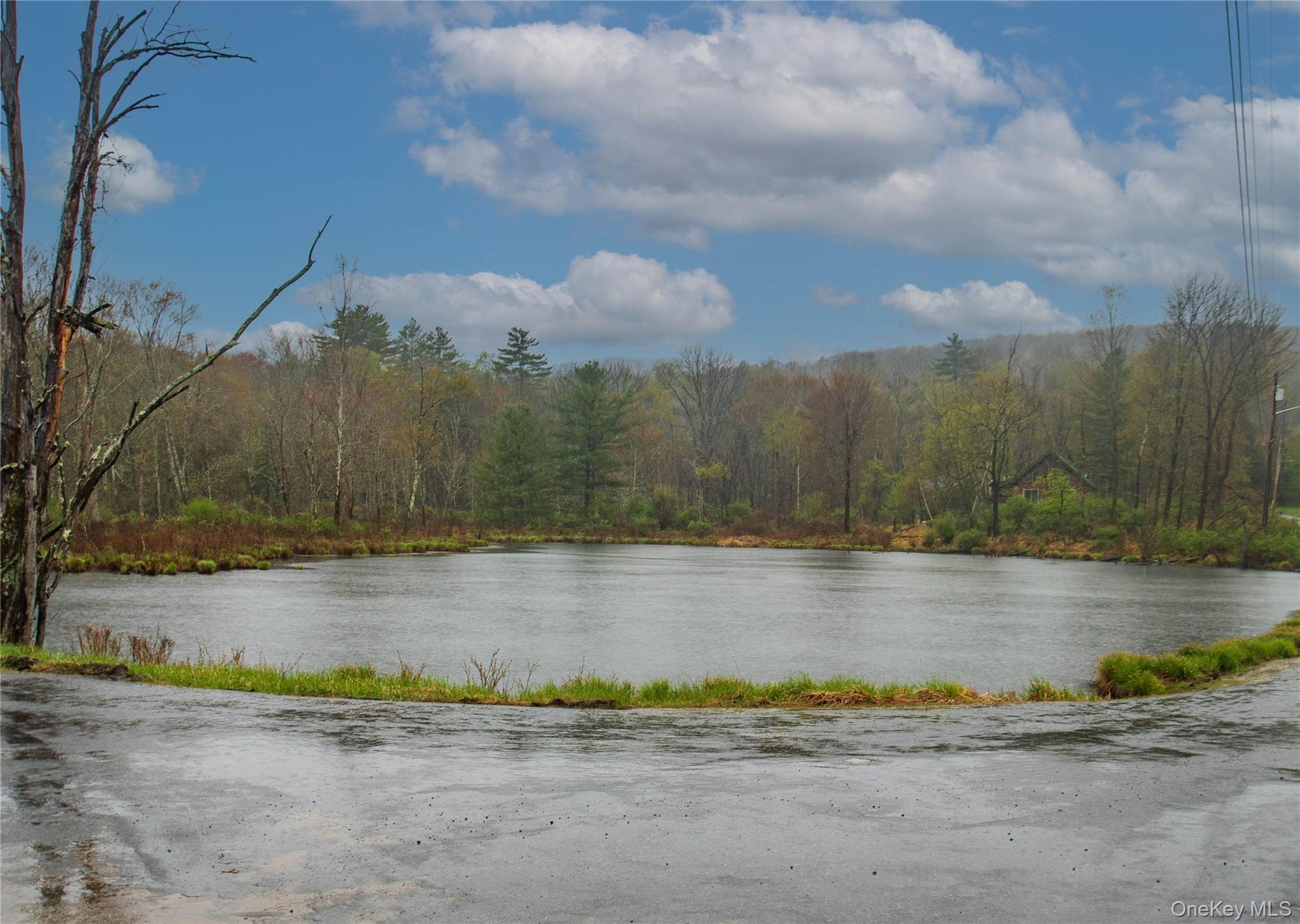 Single Family Thornton Road Sullivan County, NY 12769, MLS-983777-29