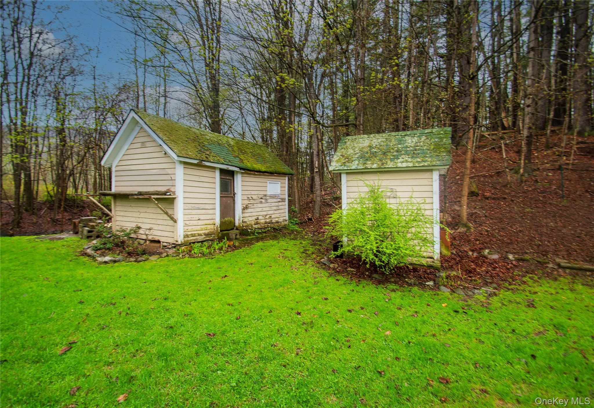 Single Family Thornton Road Sullivan County, NY 12769, MLS-983777-6