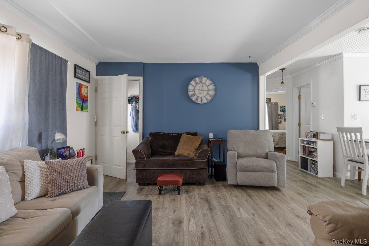 Single Family Park  Nassau County, NY 11714, MLS-983821-6