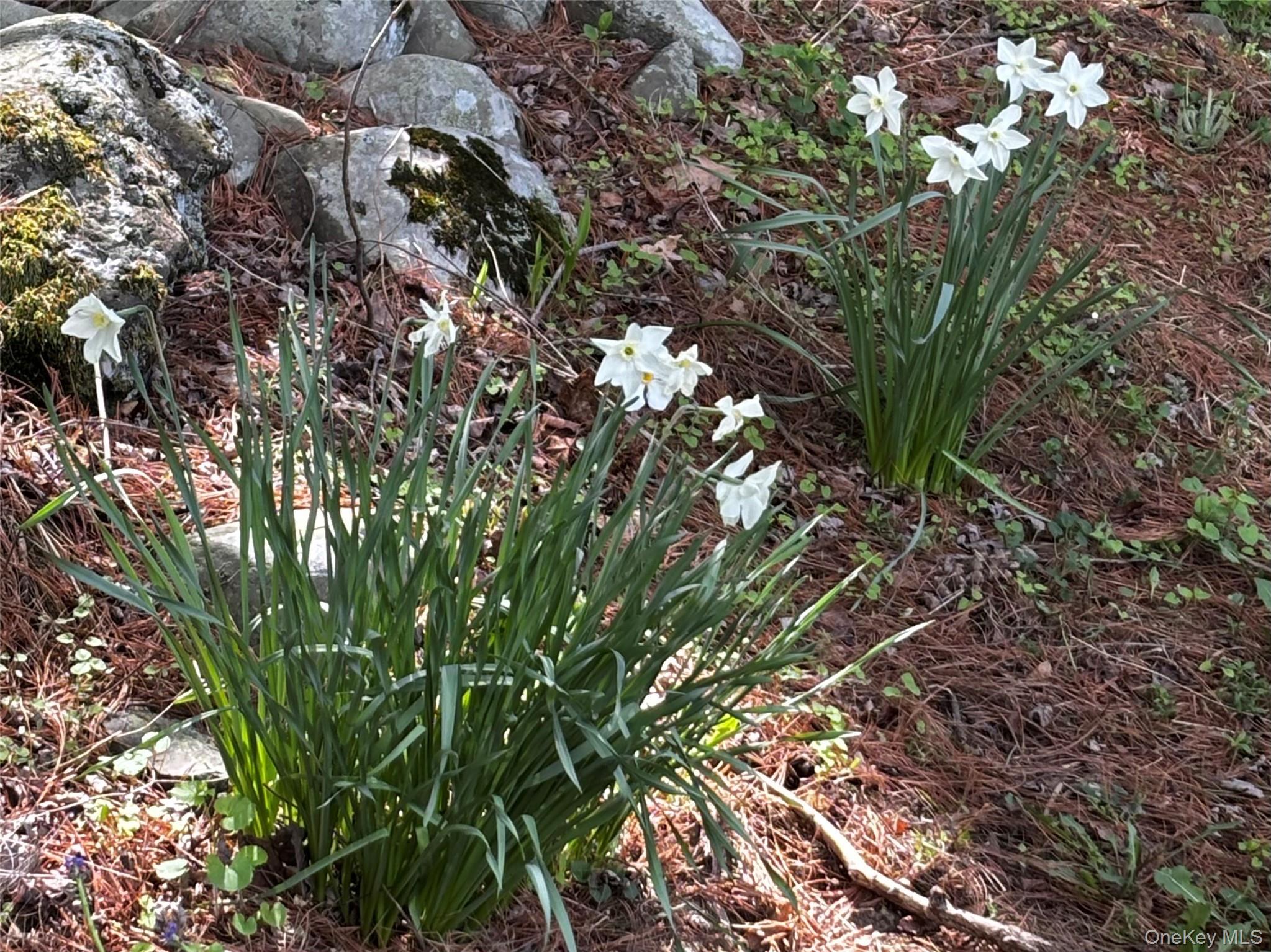 Single Family Woodland  Orange County, NY 12586, MLS-983826-25