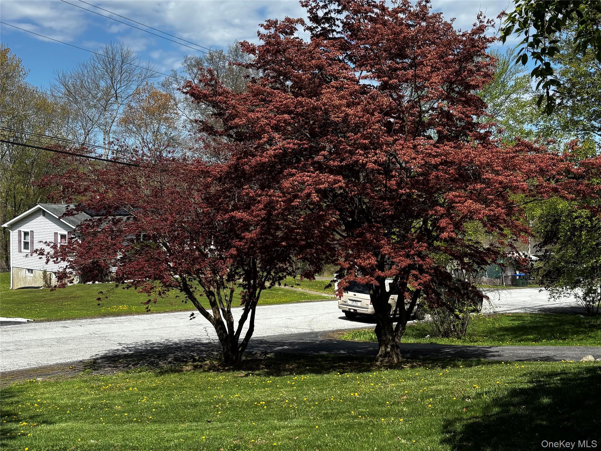 Single Family Woodland  Orange County, NY 12586, MLS-983826-26