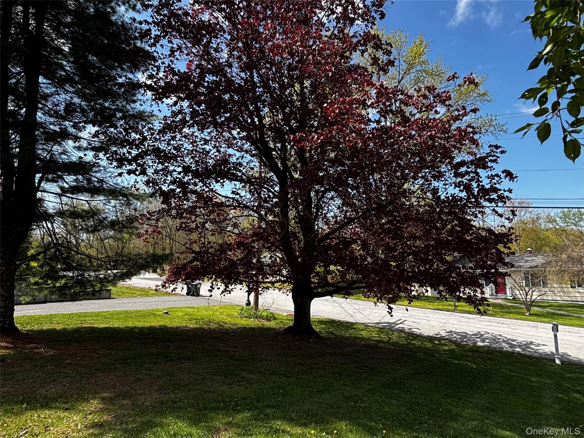 Single Family Woodland  Orange County, NY 12586, MLS-983826-27