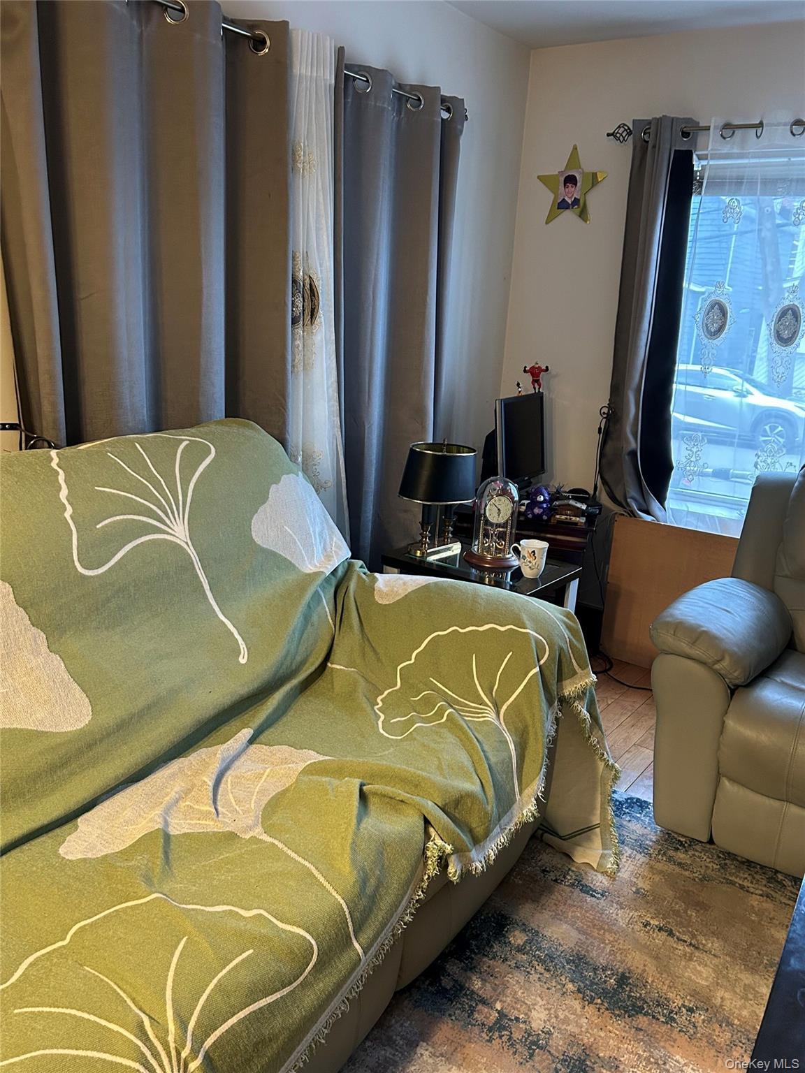 Single Family Nansen Street Queens, NY 11375, MLS-983853-2