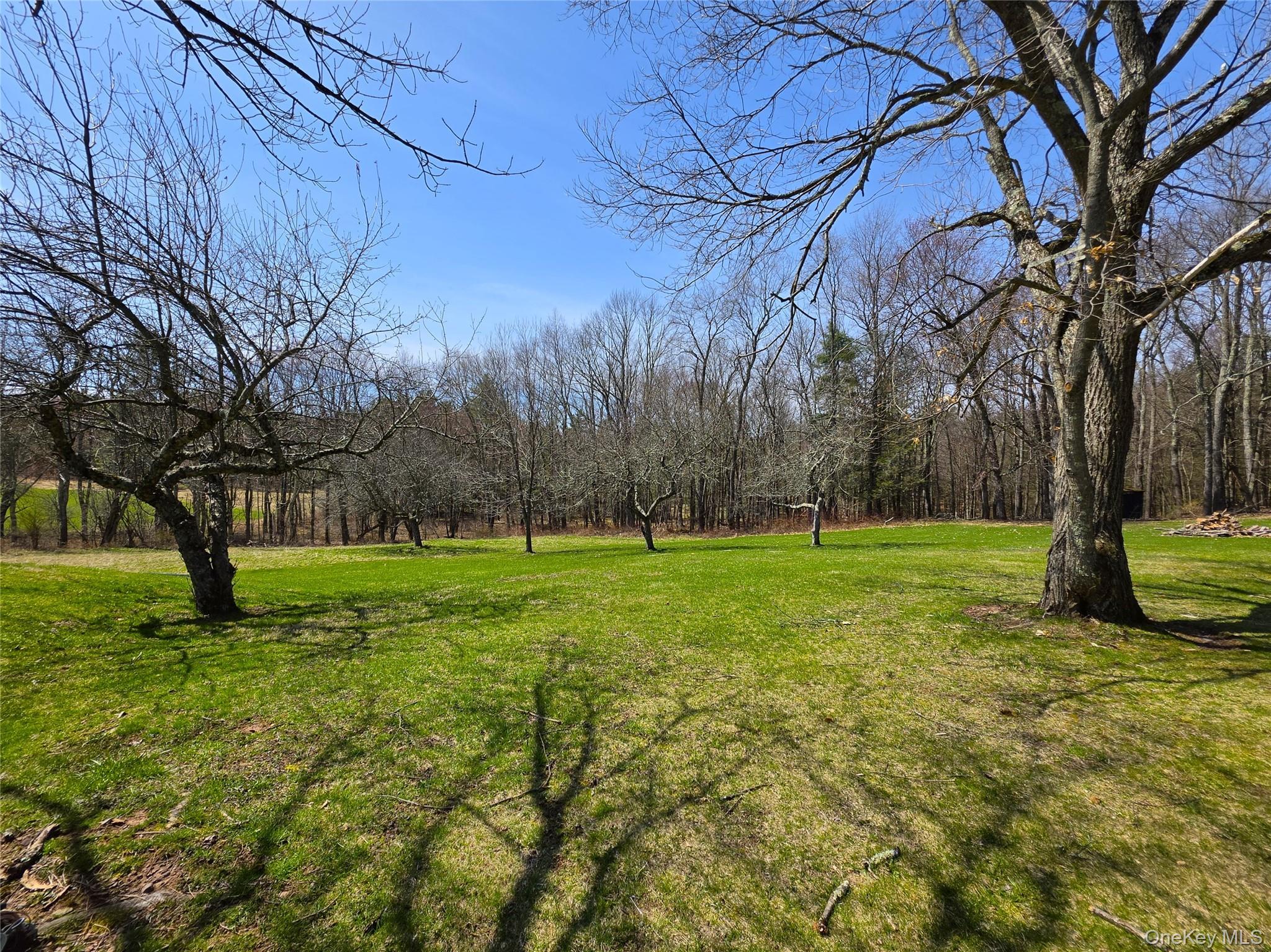 Single Family Pucky Huddle  Sullivan County, NY 12720, MLS-983902-16