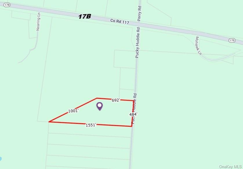 Single Family Pucky Huddle  Sullivan County, NY 12720, MLS-983902-34