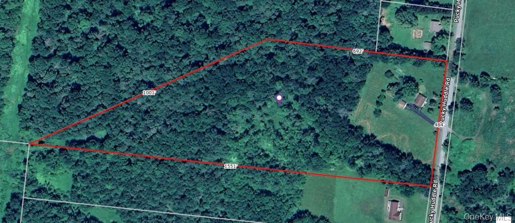 Single Family Pucky Huddle  Sullivan County, NY 12720, MLS-983902-35