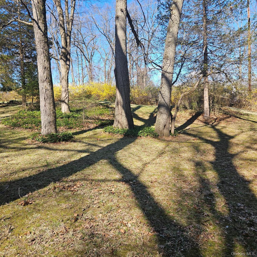 Single Family Wildwood  Dutchess County, NY 12603, MLS-983907-4