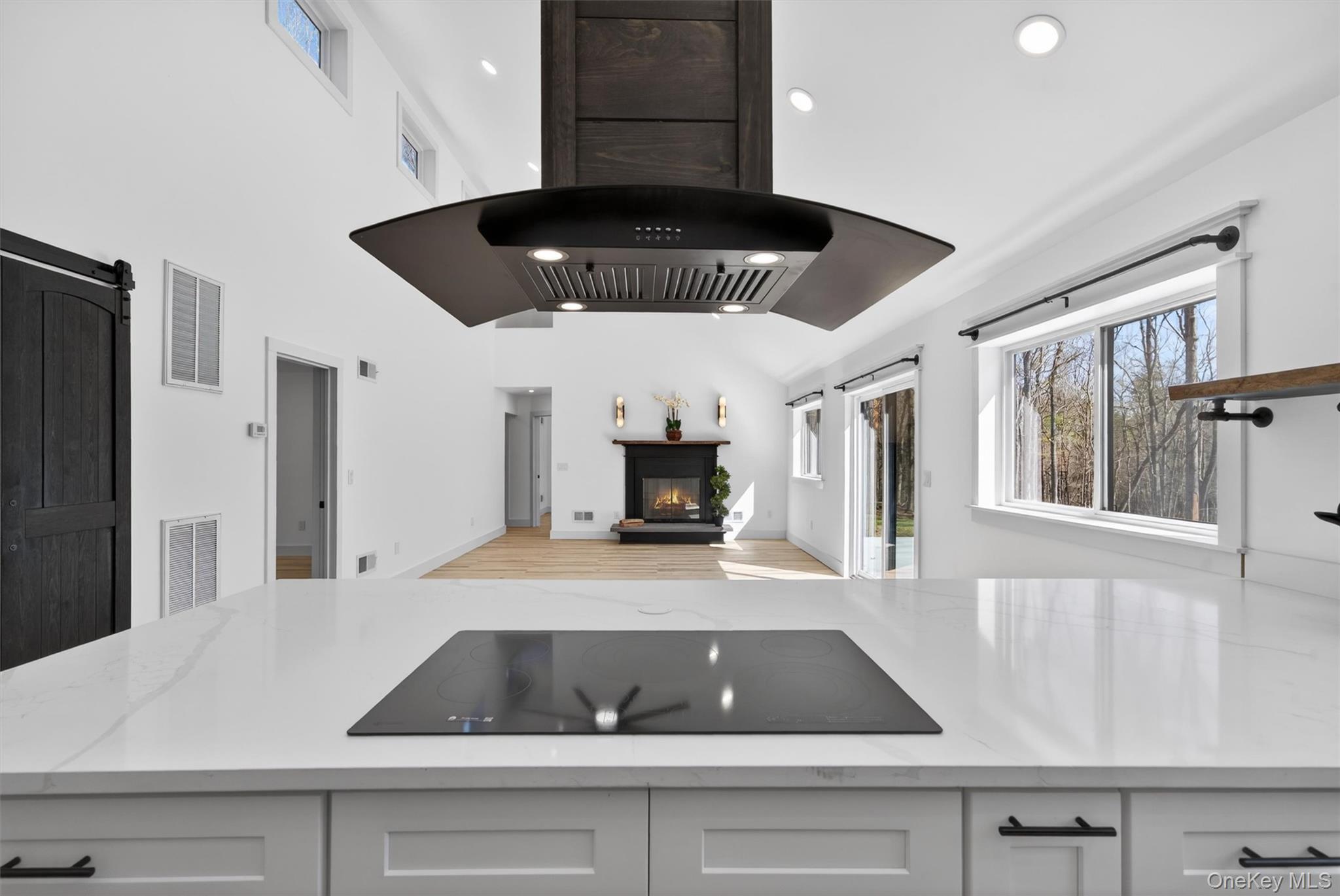 Single Family Perry Pond  Sullivan County, NY 12764, MLS-983909-13