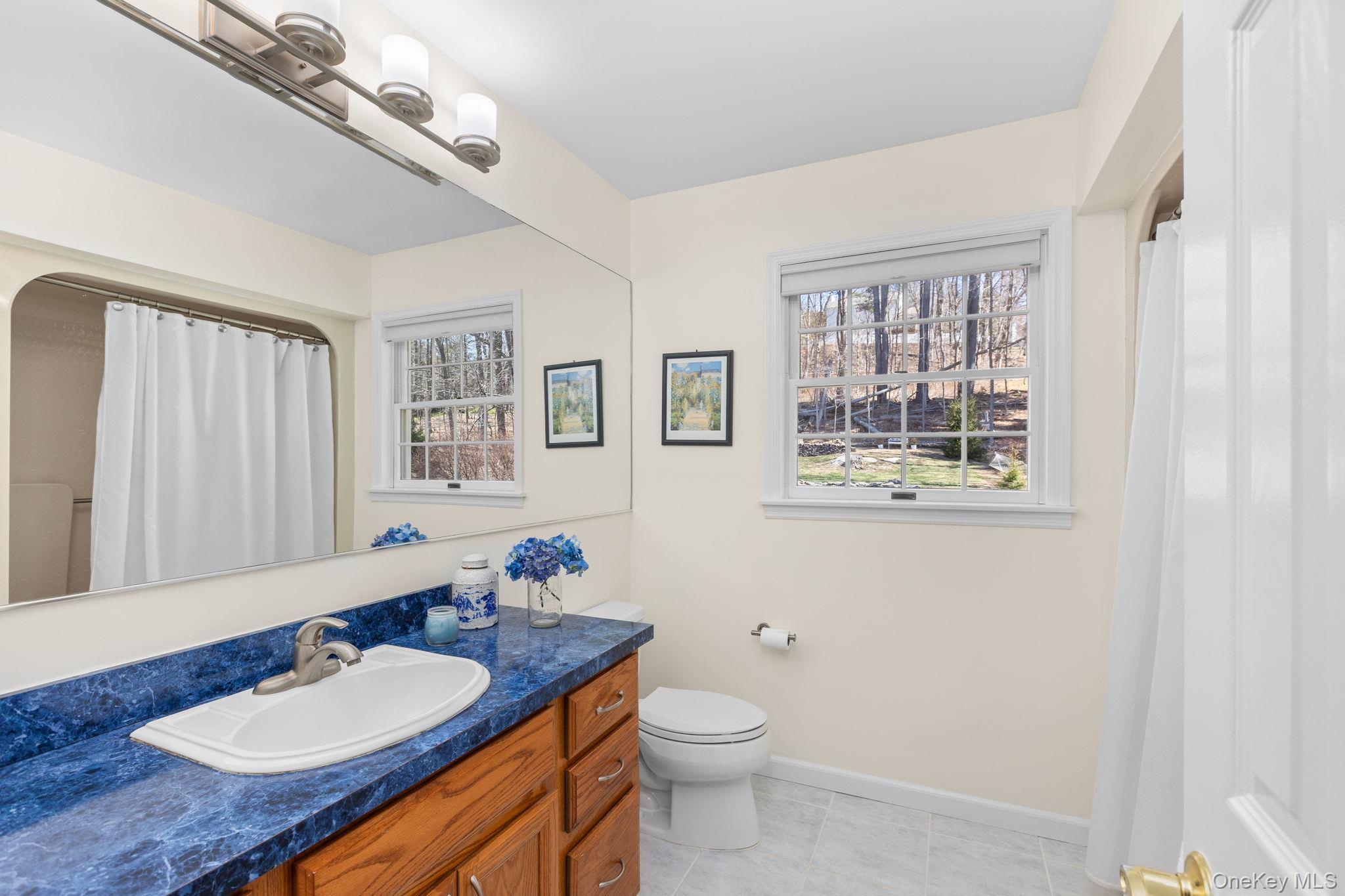 Single Family Indian Hill  Putnam County, NY 10509, MLS-983948-30