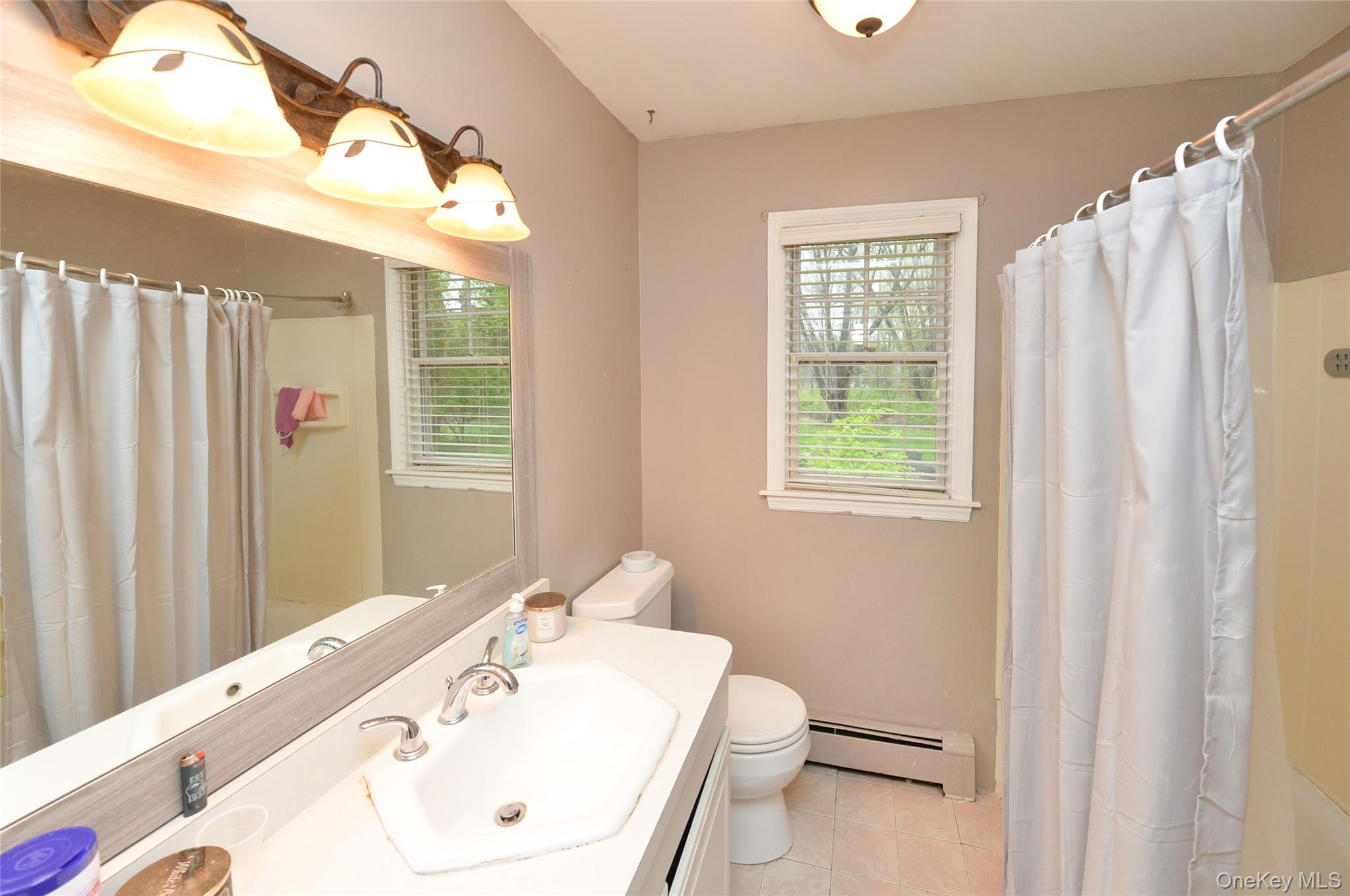 Single Family Lynmore Avenue Orange County, NY 12577, MLS-983976-13