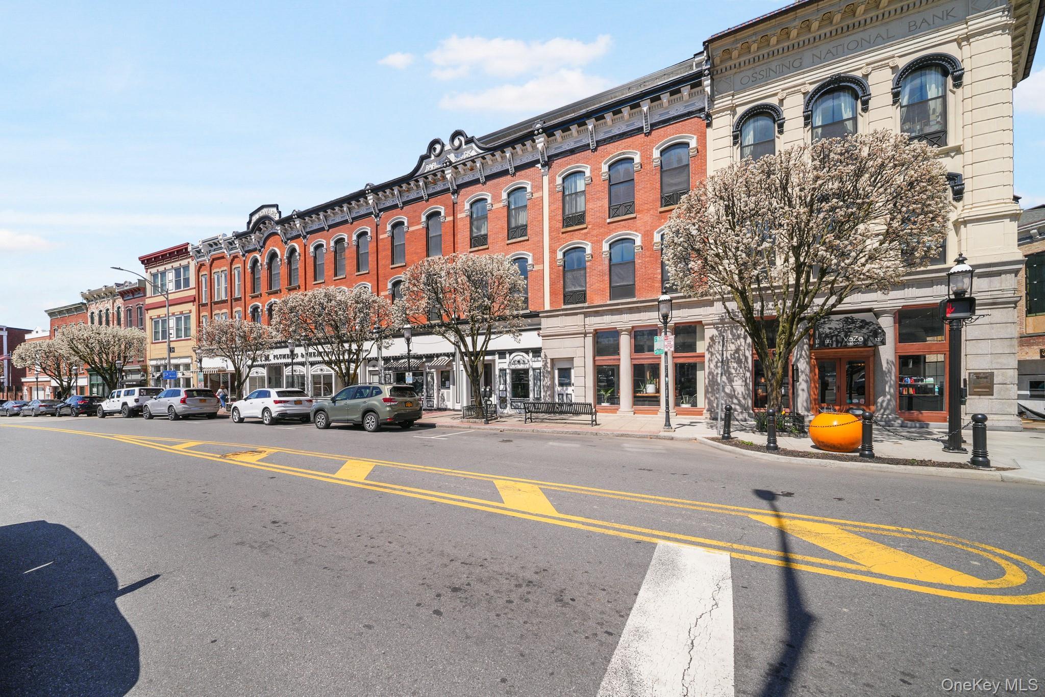 Condo Main Westchester County, NY 10562, MLS-983983-2