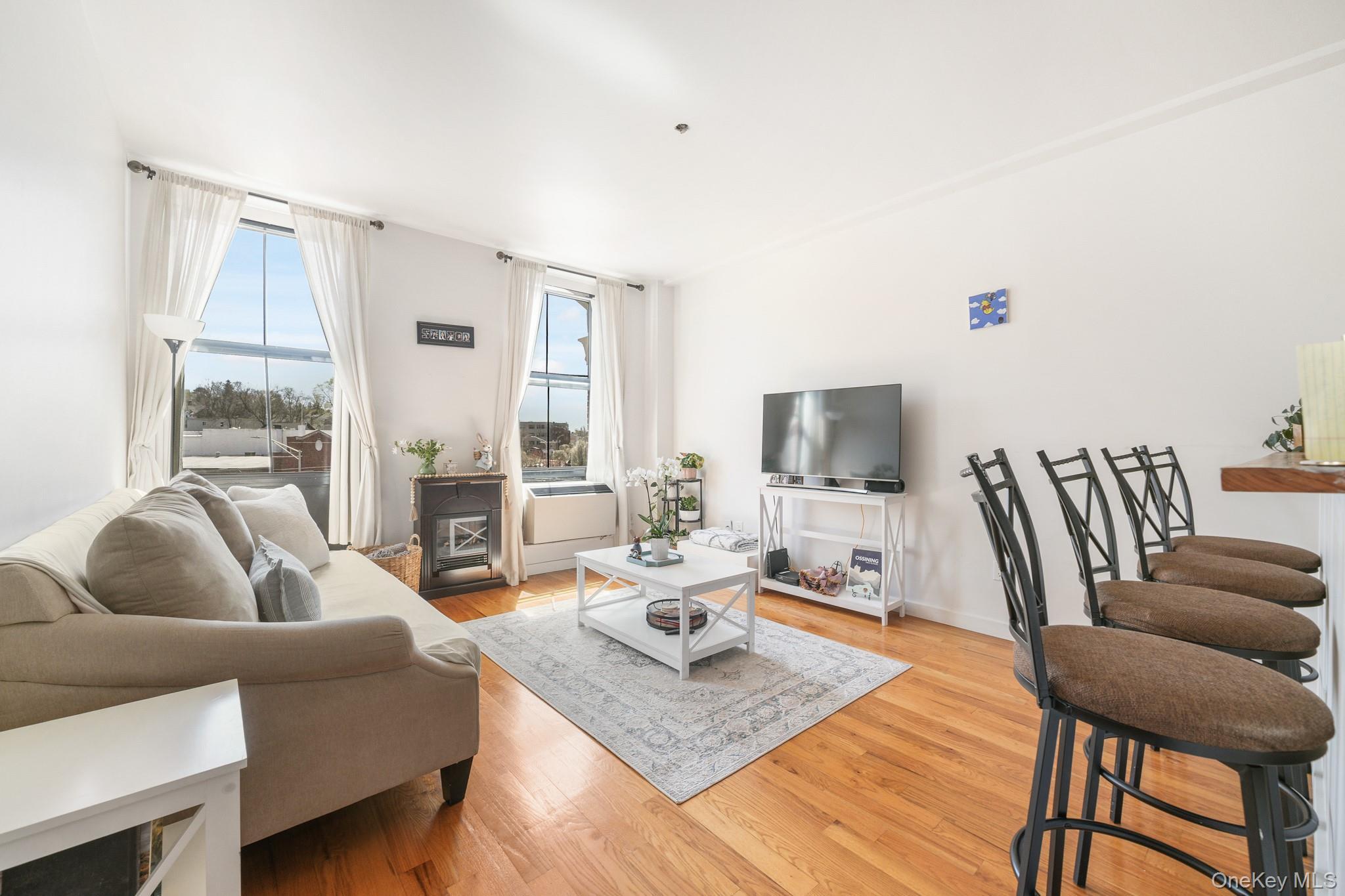 Condo Main Westchester County, NY 10562, MLS-983983-4