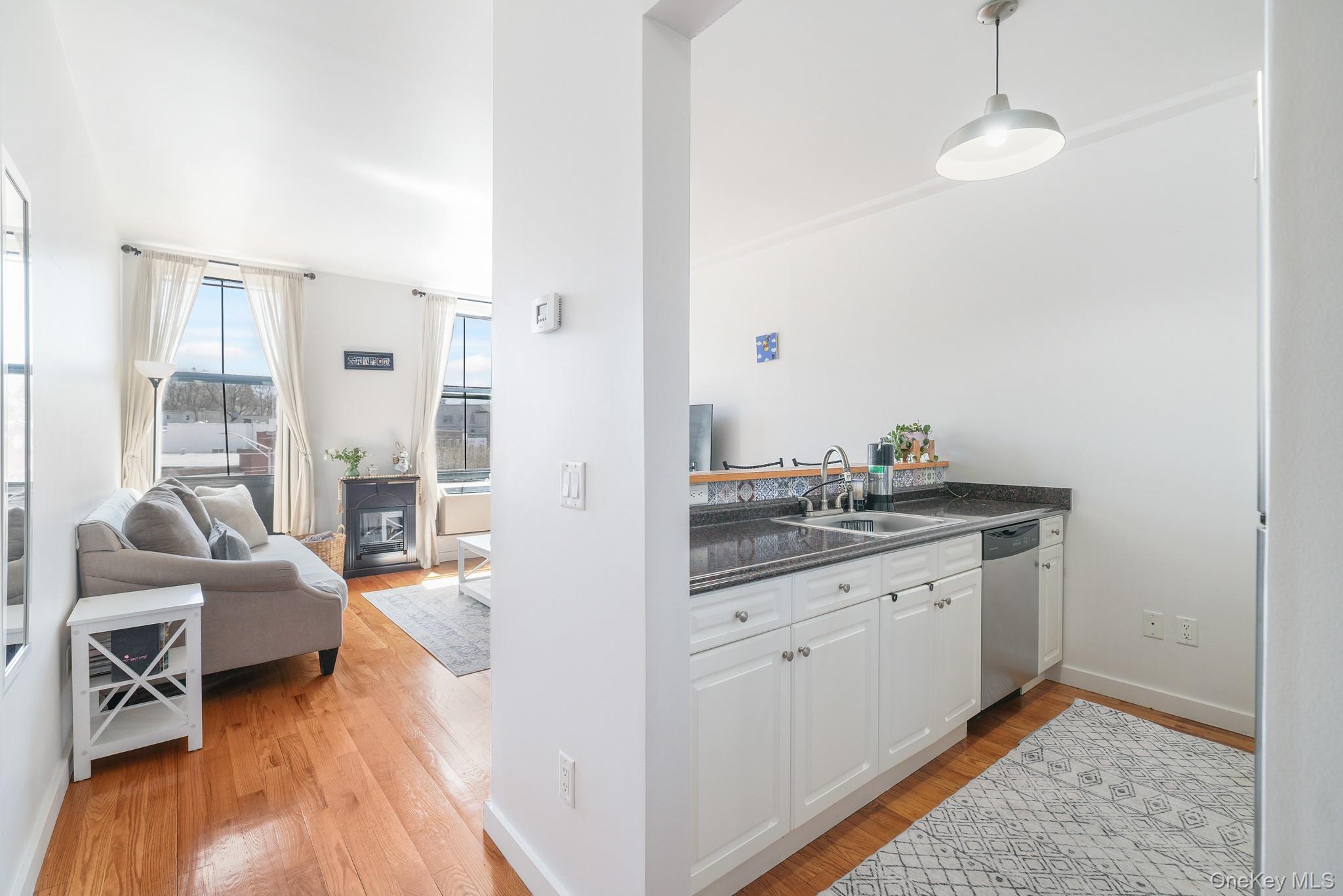 Condo Main Westchester County, NY 10562, MLS-983983-5