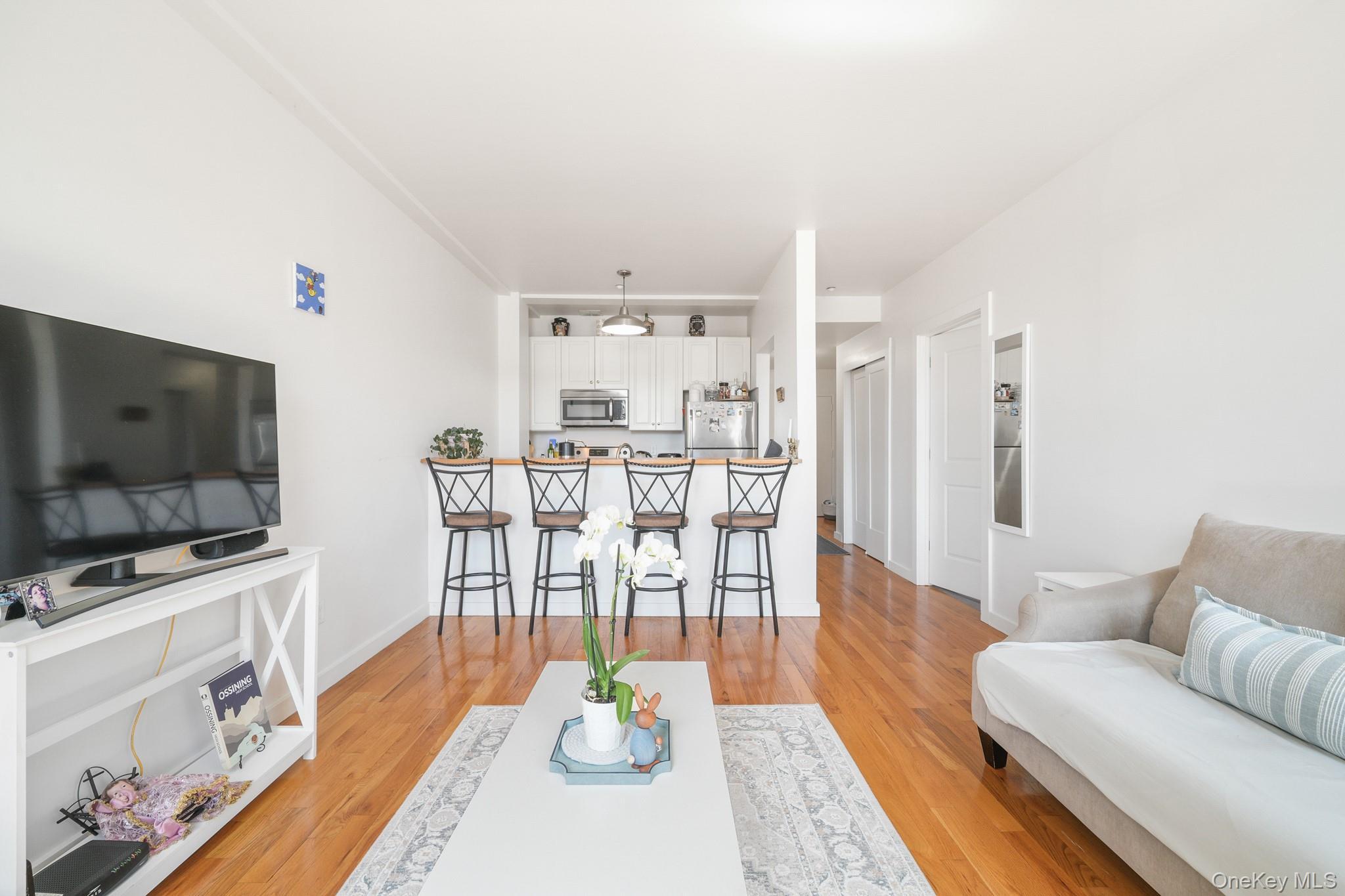 Condo Main Westchester County, NY 10562, MLS-983983-9