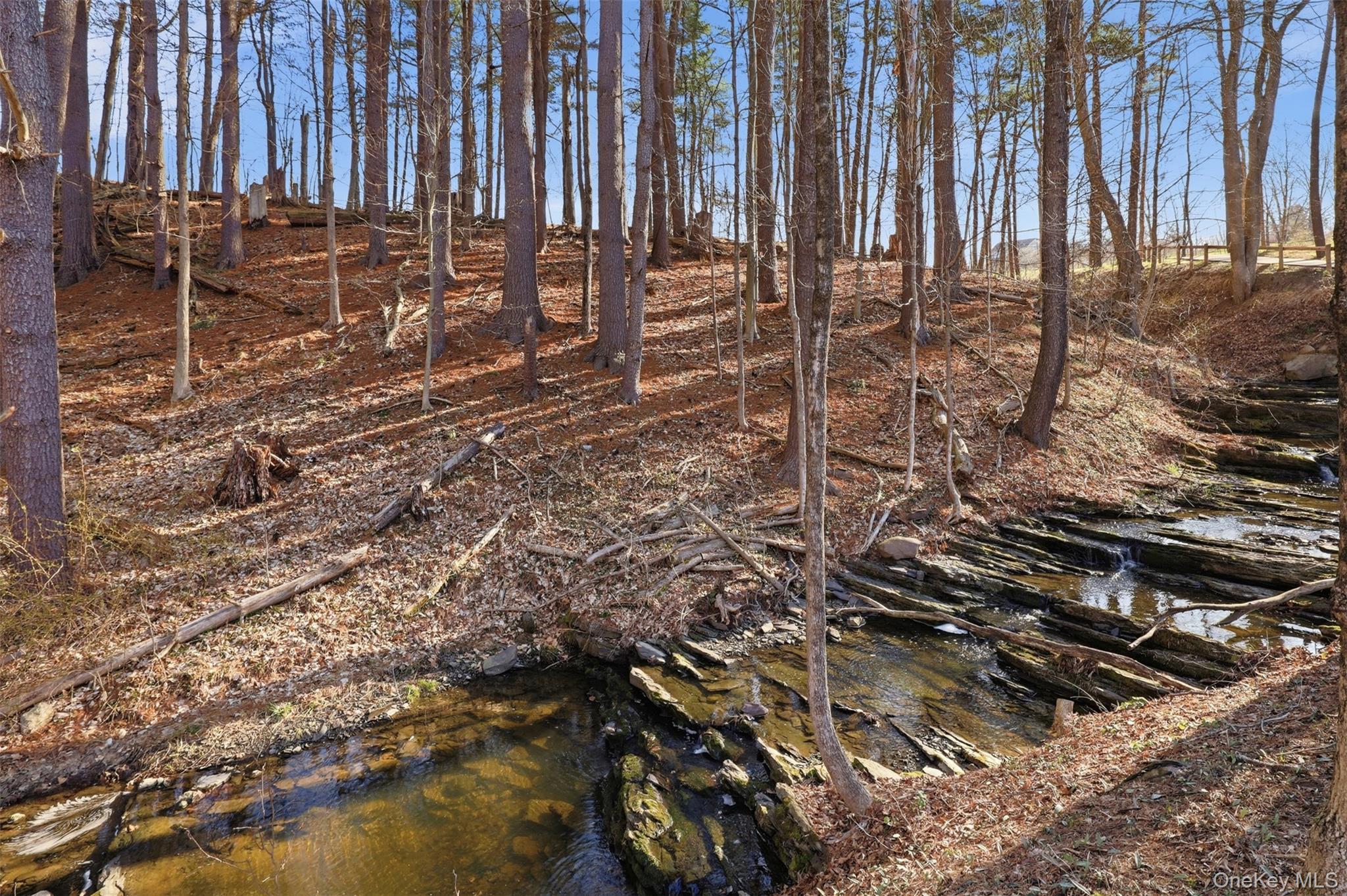 Single Family Sand Hill  Ulster County, NY 12525, MLS-983989-3