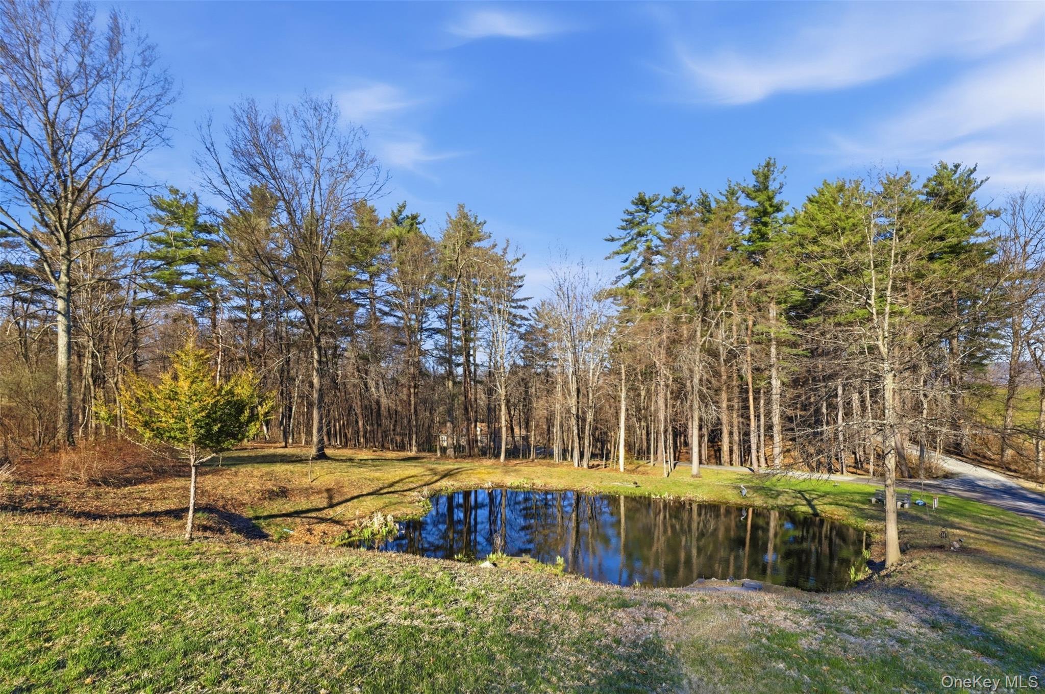 Single Family Sand Hill  Ulster County, NY 12525, MLS-983989-8