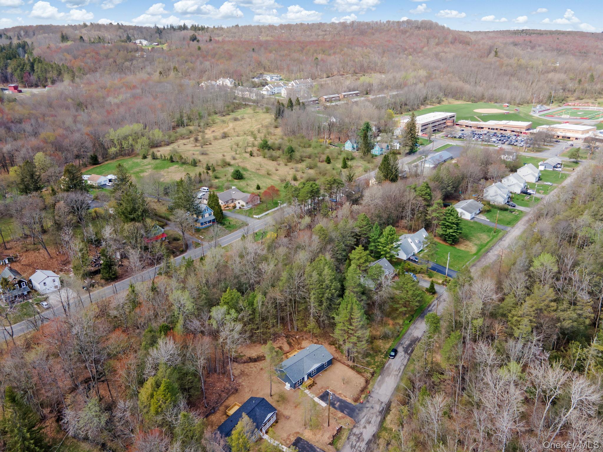 Single Family Pinehurst Drive E Sullivan County, NY 12754, MLS-984023-33