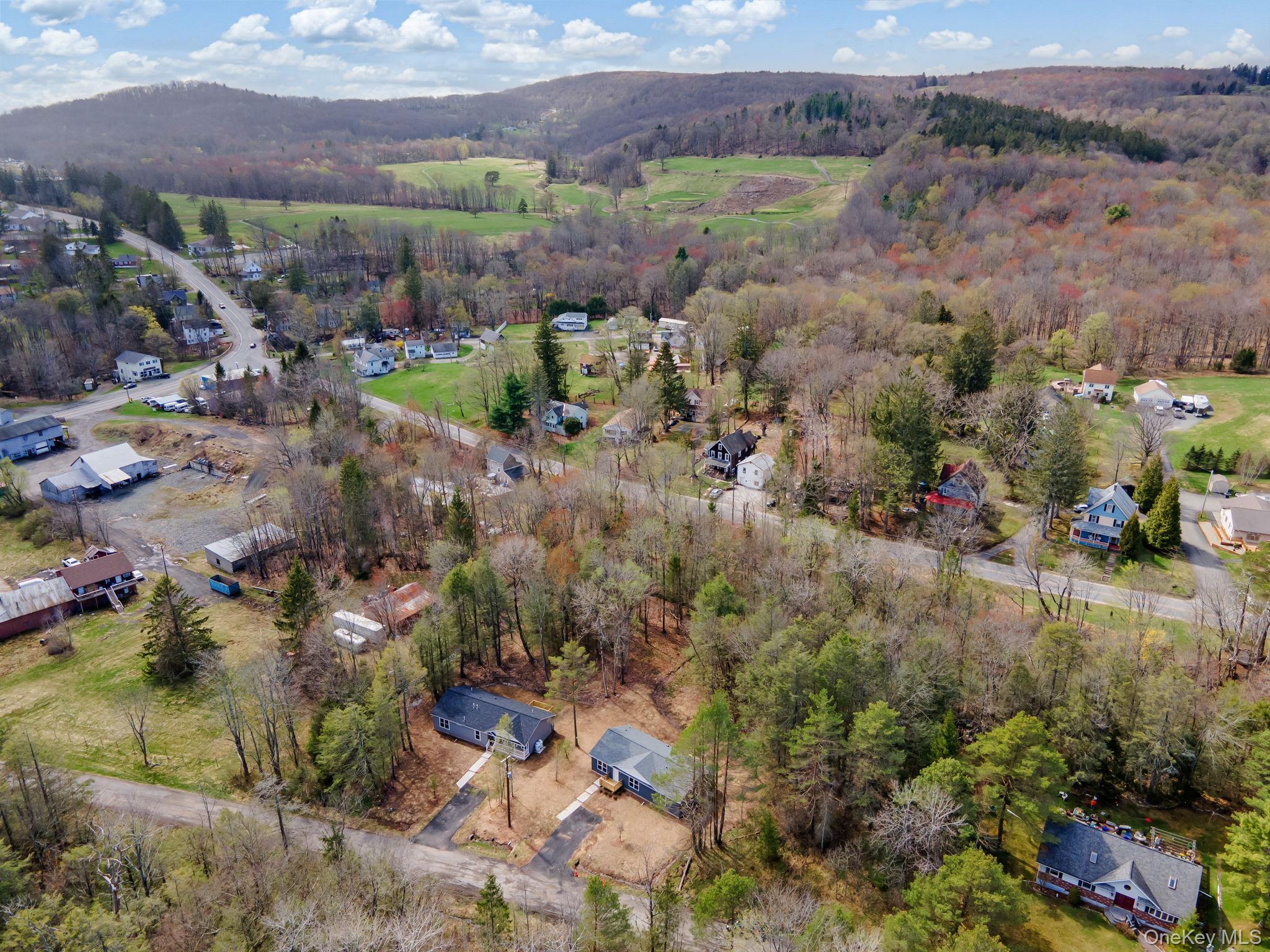 Single Family Pinehurst Drive E Sullivan County, NY 12754, MLS-984023-35