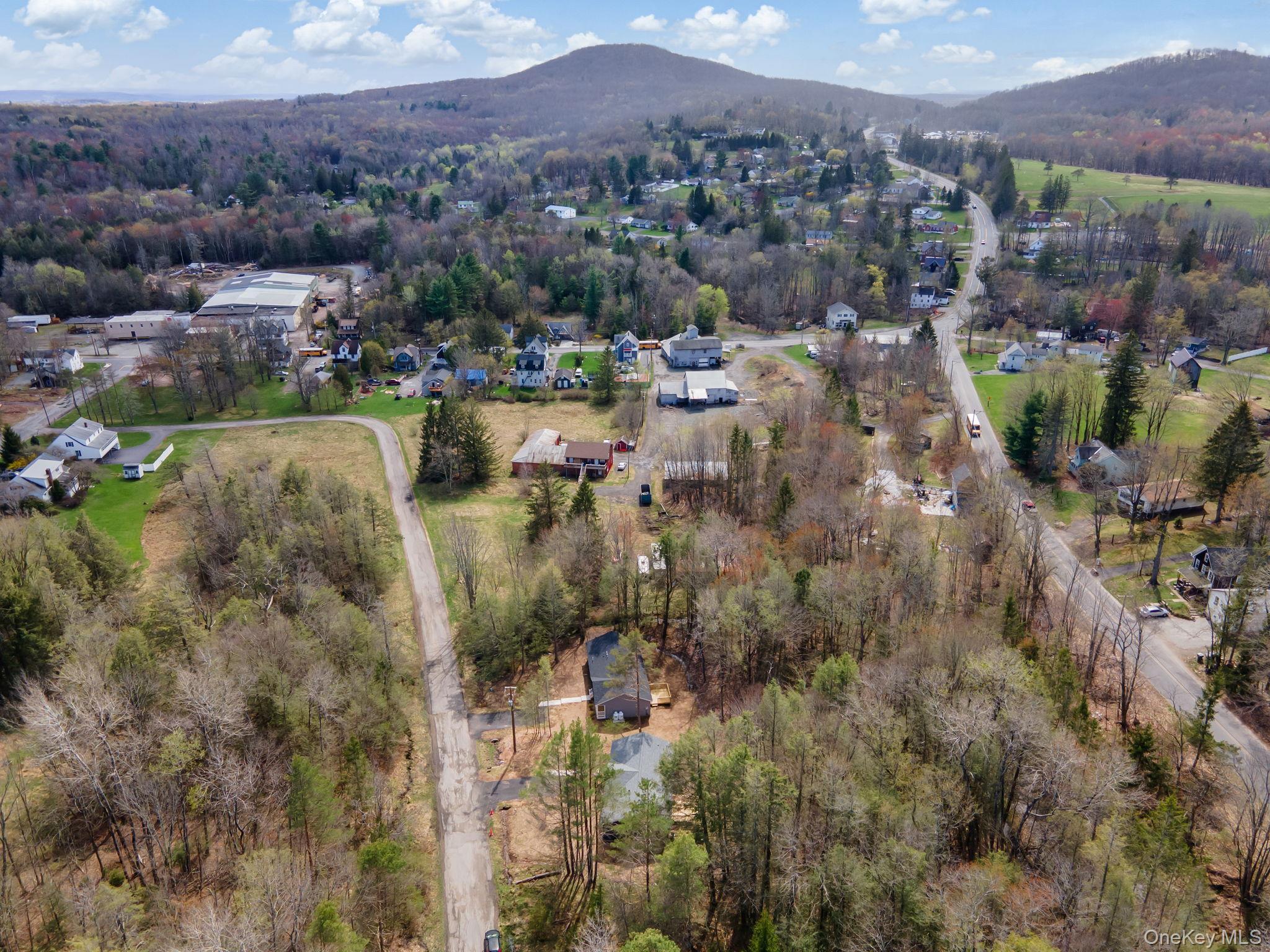 Single Family Pinehurst Drive E Sullivan County, NY 12754, MLS-984023-36