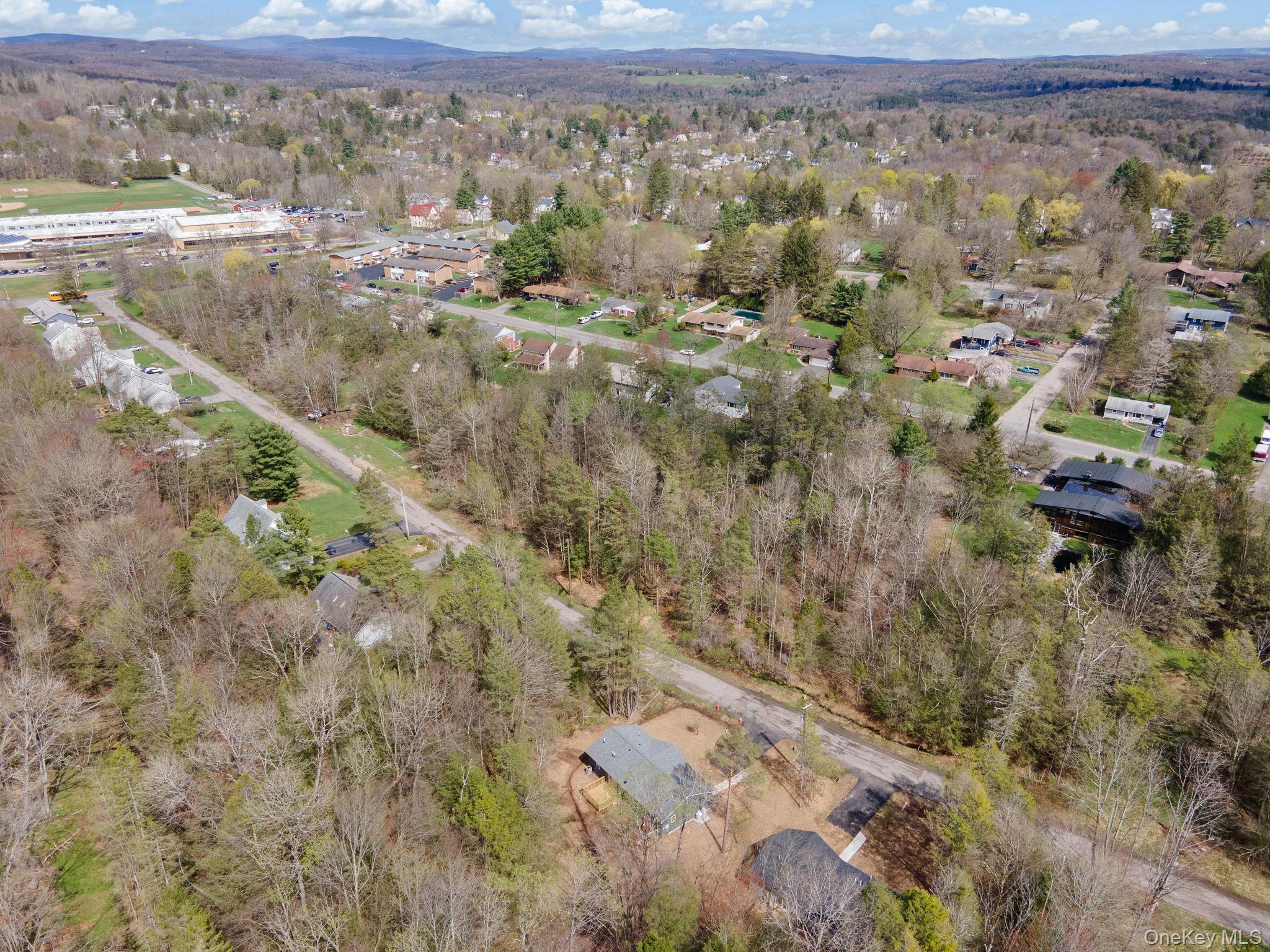 Single Family Pinehurst Drive E Sullivan County, NY 12754, MLS-984023-38