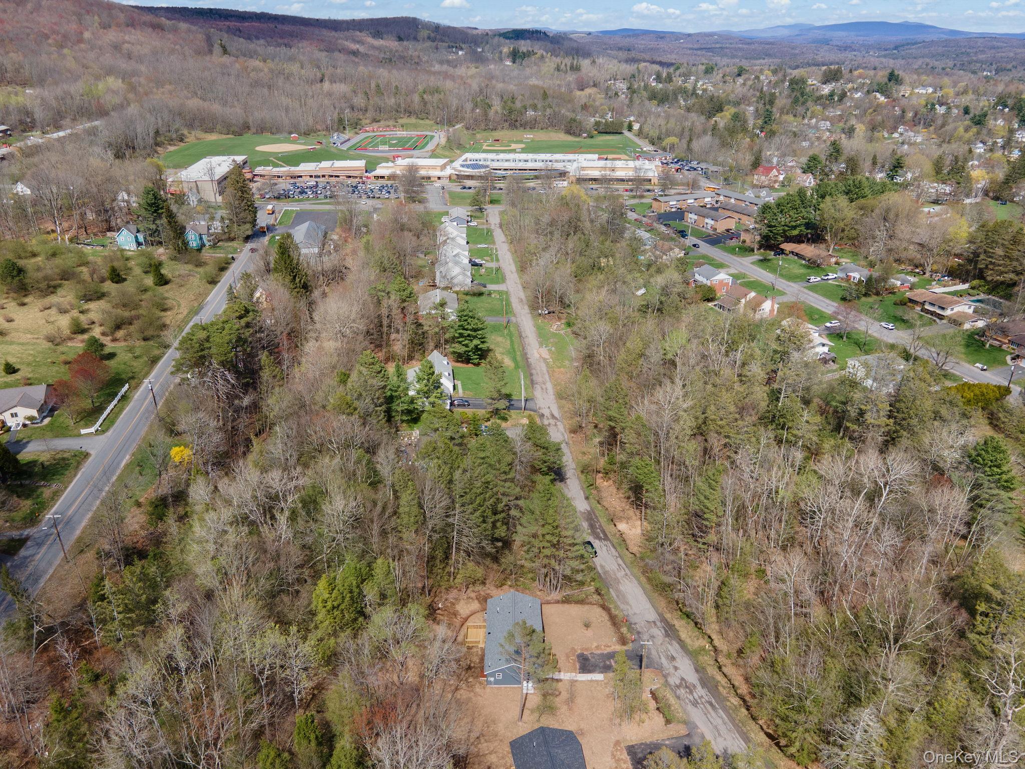 Single Family Pinehurst Drive E  Sullivan County, NY 12754, MLS-984023-39