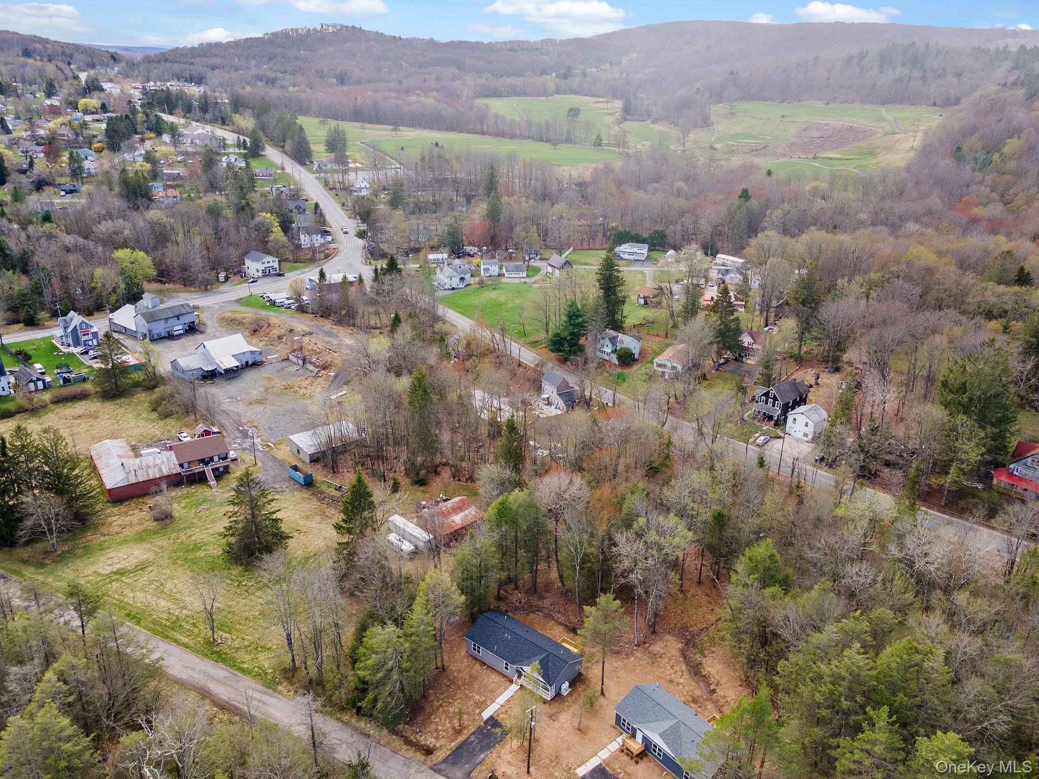 Single Family Pinehurst Drive W Sullivan County, NY 12754, MLS-984025-39