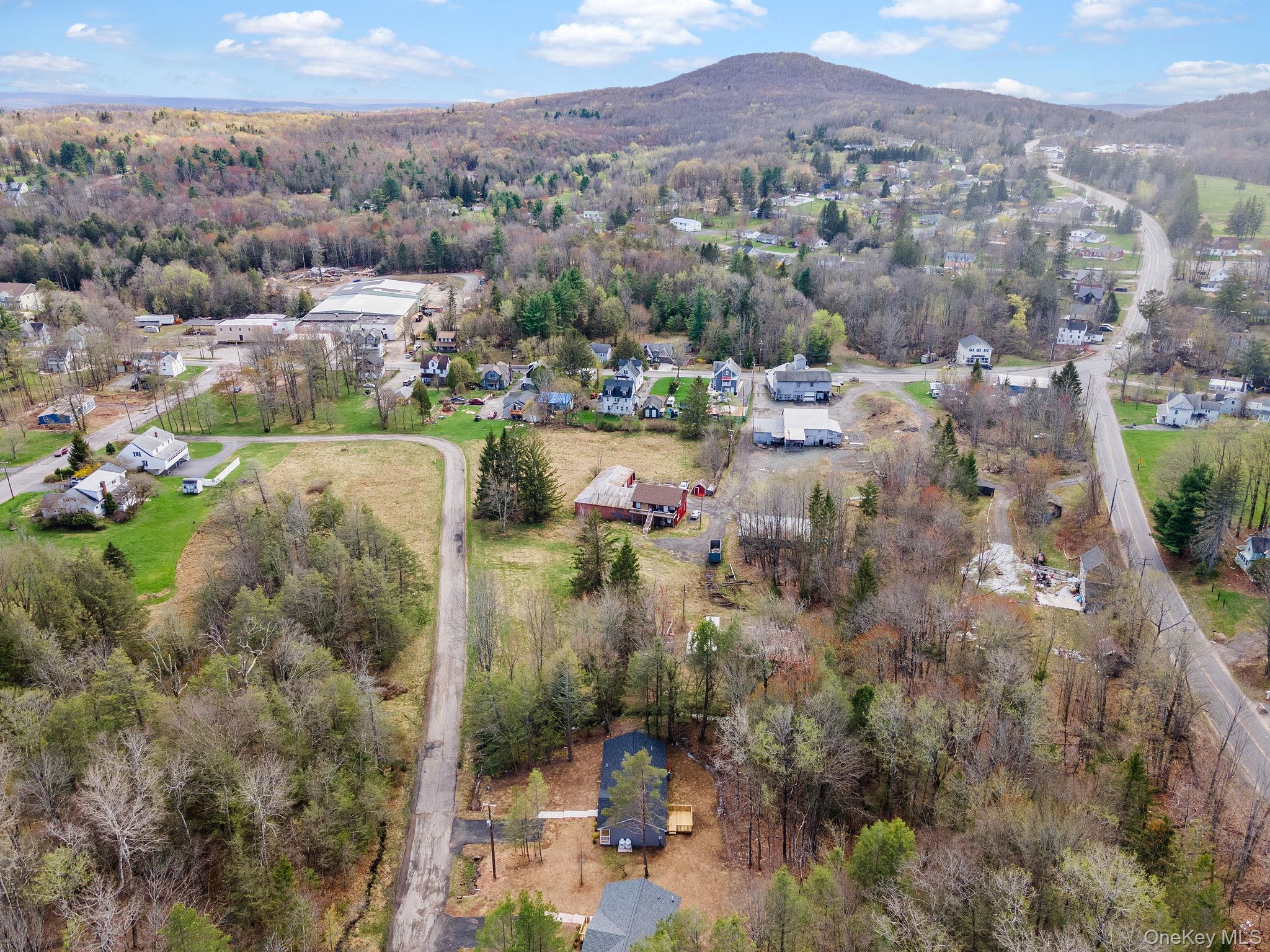Single Family Pinehurst Drive W Sullivan County, NY 12754, MLS-984025-40