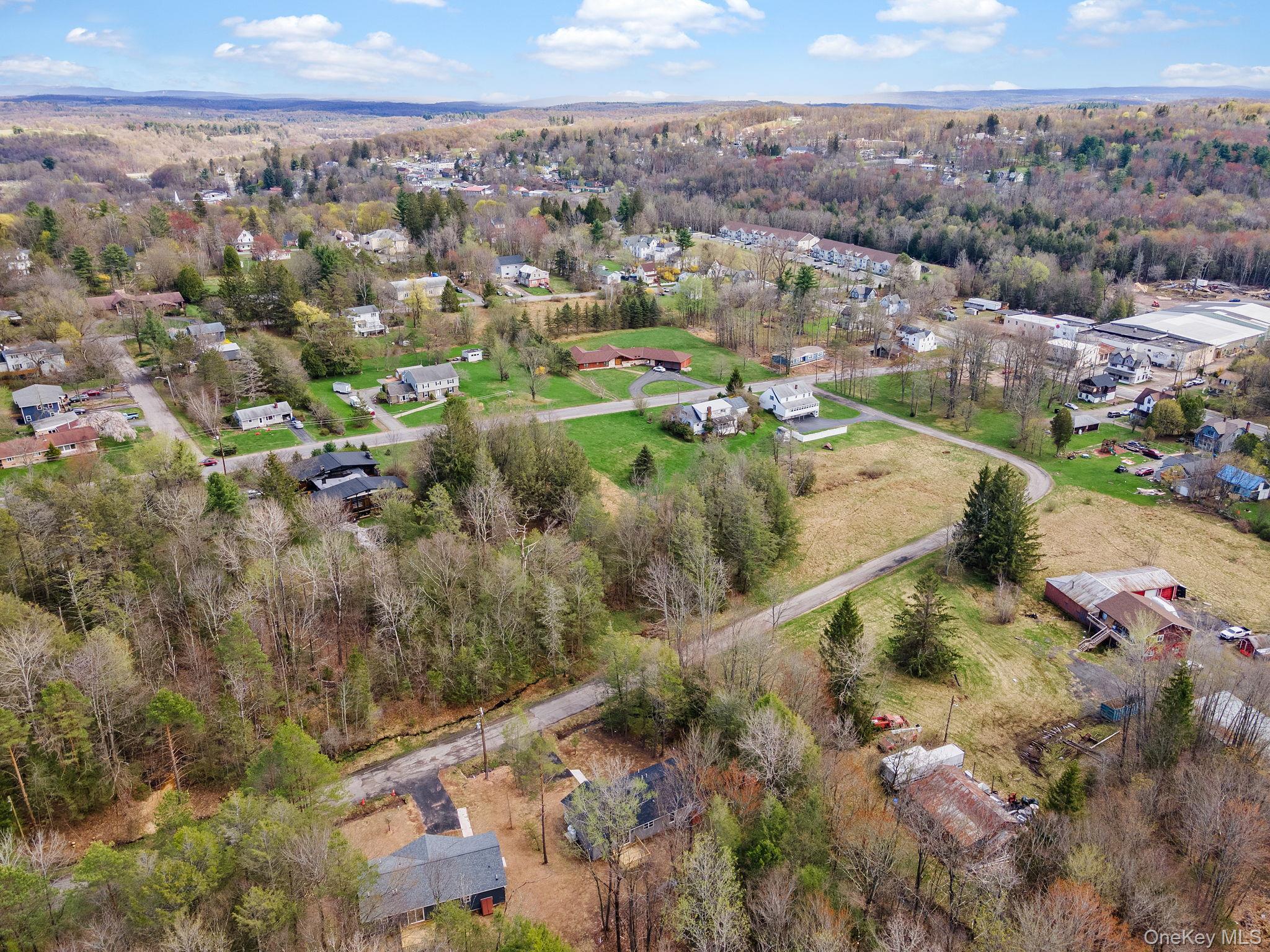 Single Family Pinehurst Drive W Sullivan County, NY 12754, MLS-984025-41